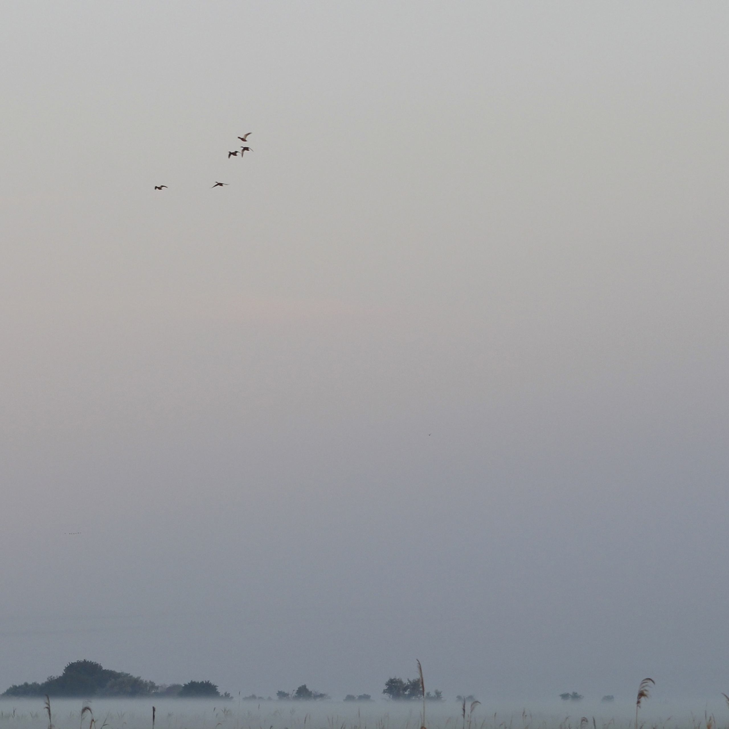 Работы студентов. Продвинутый уровень (1 и 2 ступень) . Интенсив "Художественно…. Максим Матвийченко и Виктория Басова профессионалы своего дела