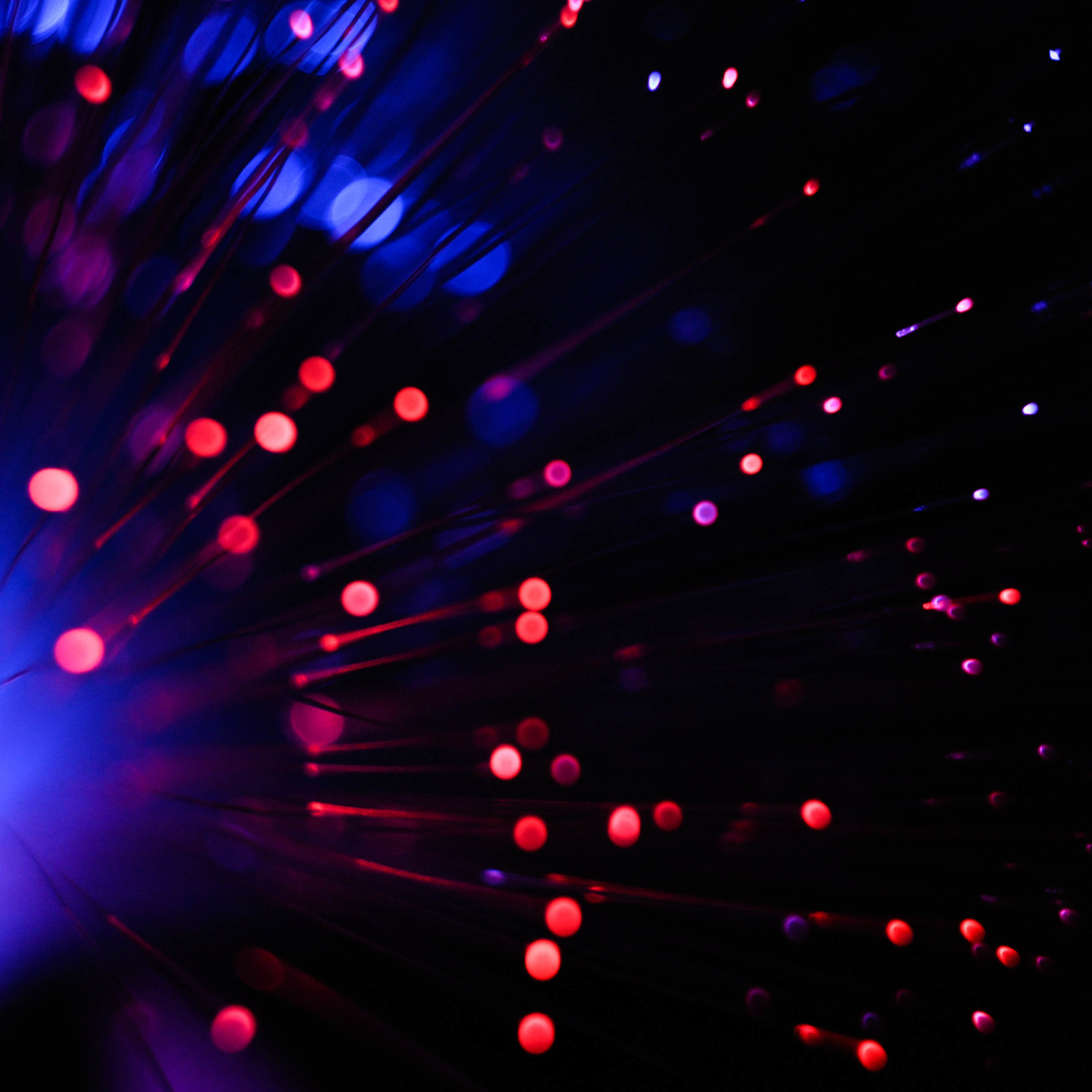 Работы студентов. Продвинутый уровень (1 и 2 ступень) . Интенсив "Художественно…. Максим Матвийченко и Виктория Басова профессионалы своего дела