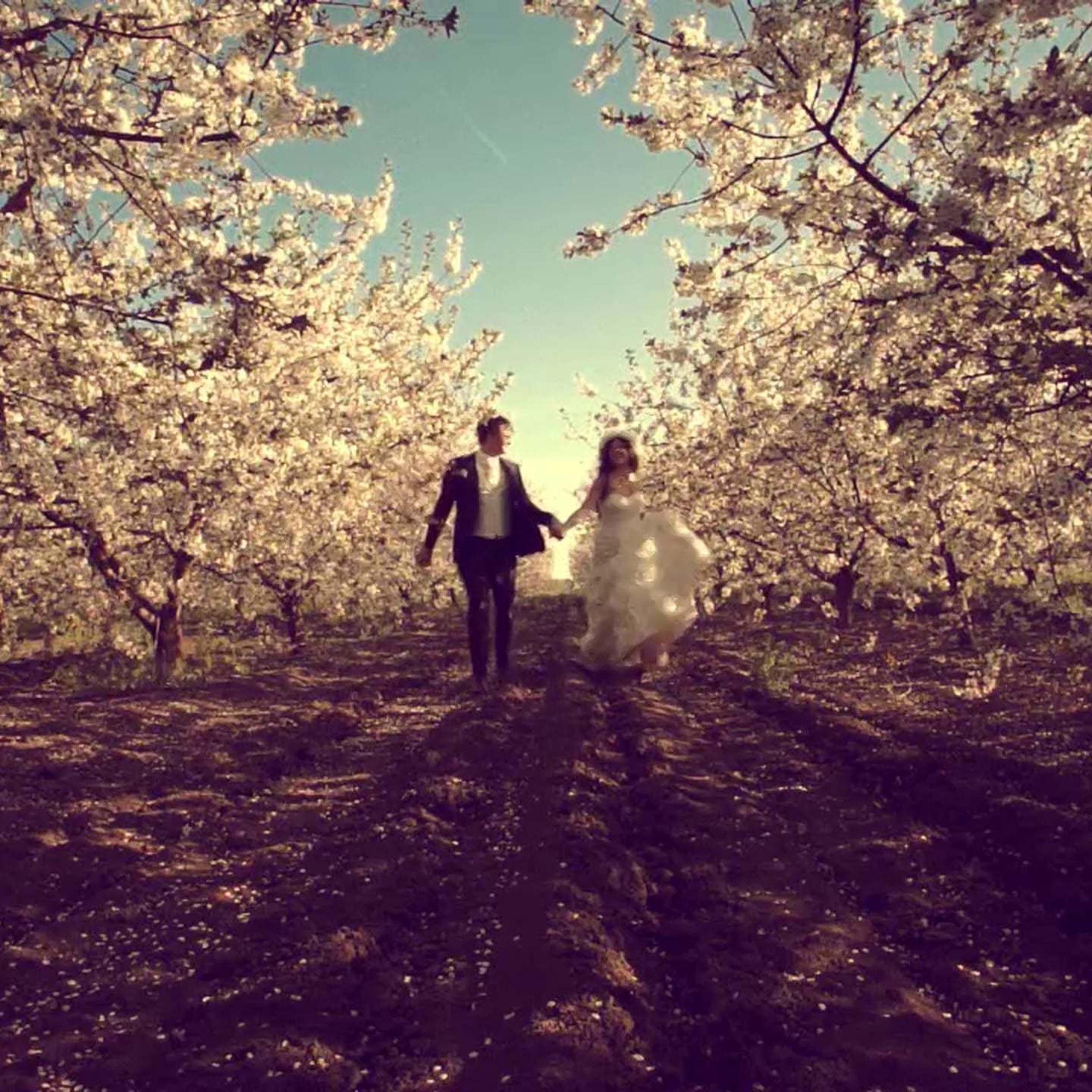 Wedding&LoveStory. Max Matvich and Victoria Basova are professionals in their field