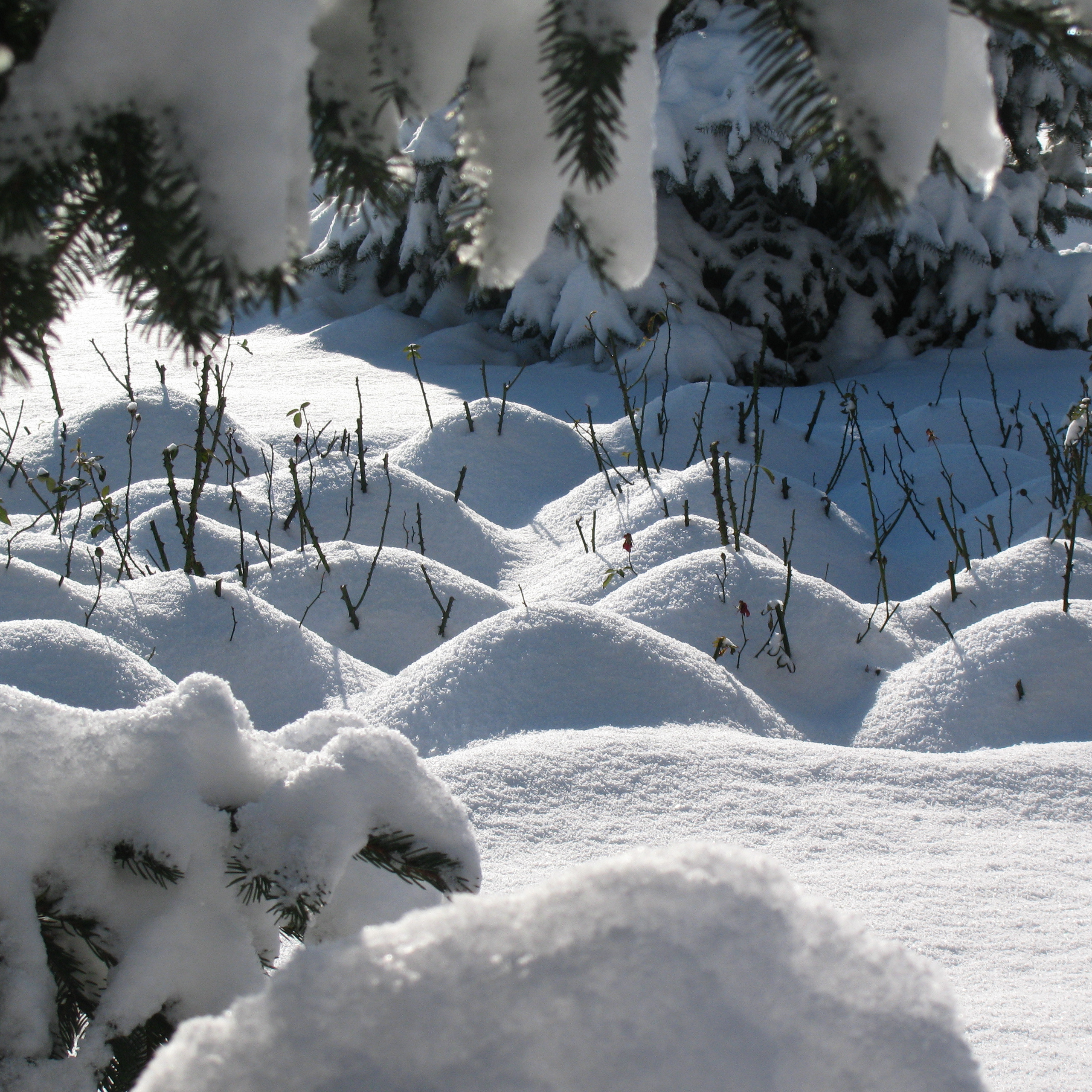 Работы студентов. Продвинутый уровень (1 и 2 ступень) . Интенсив "Художественно…. Максим Матвийченко и Виктория Басова профессионалы своего дела