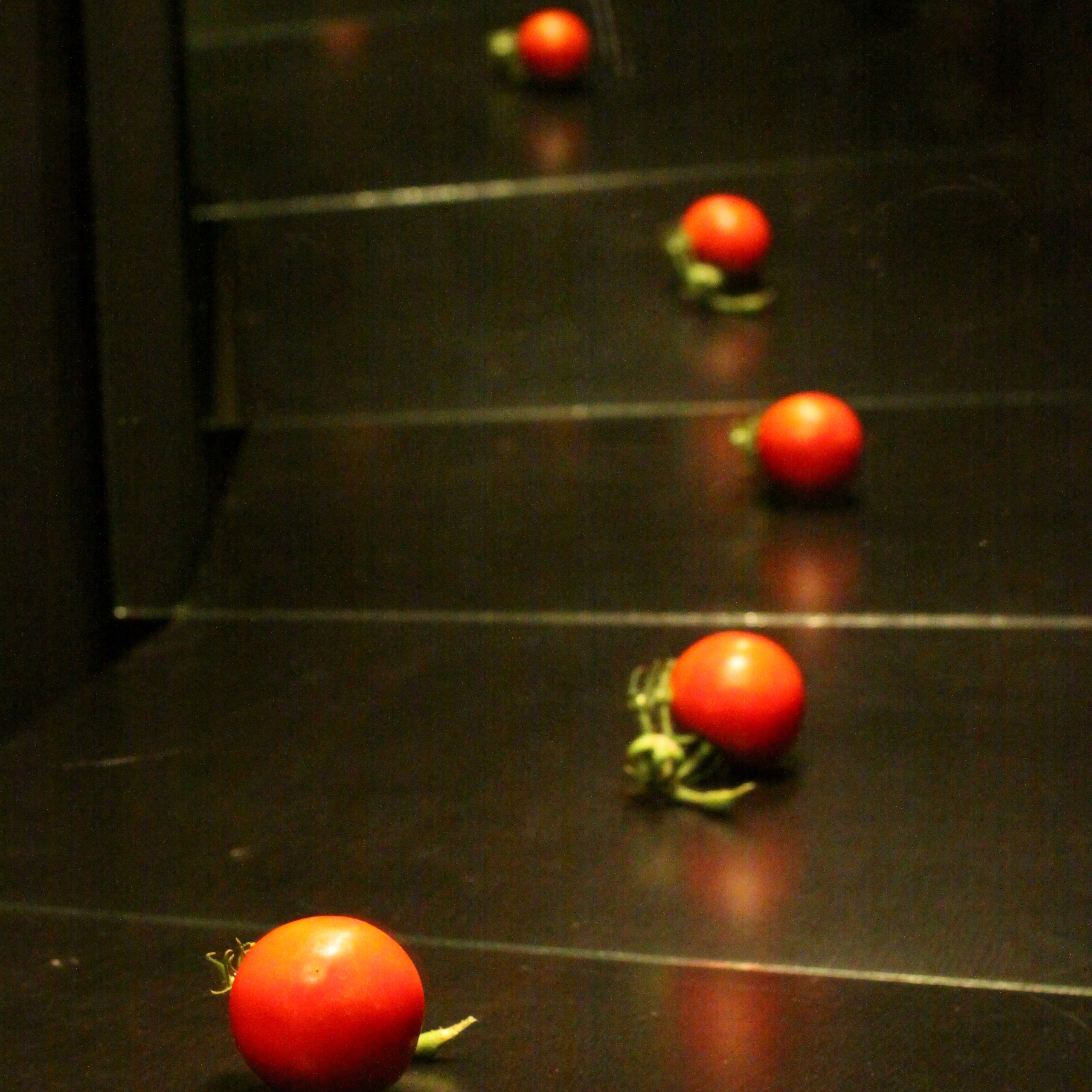 Работы студентов. Начальный уровень (1 и 2 ступень) . "Основы фото-мастерства". Максим Матвийченко и Виктория Басова профессионалы своего дела