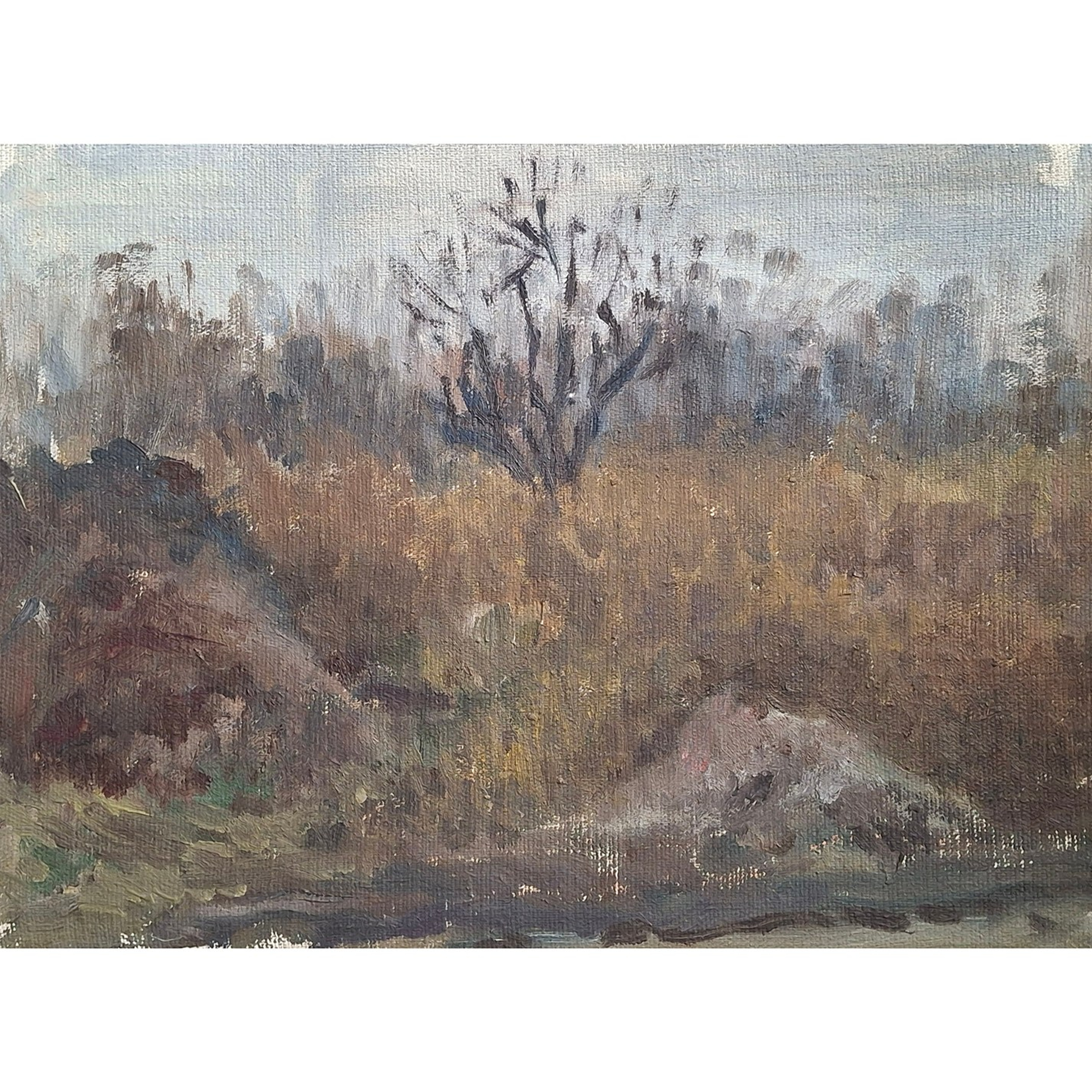 Arts & sketches. Max Matvich and Victoria Basova are professionals in their field