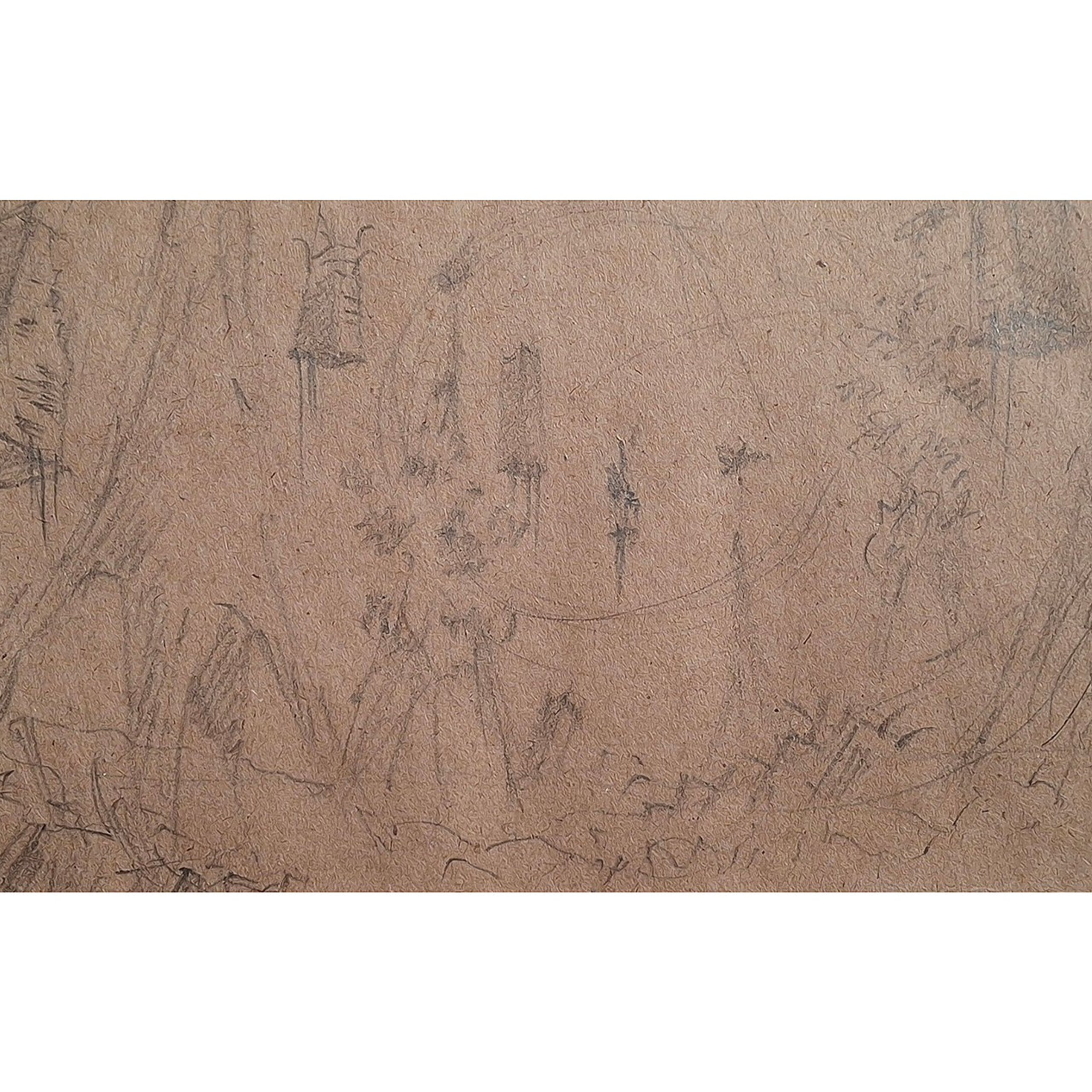 Arts & sketches. Max Matvich and Victoria Basova are professionals in their field