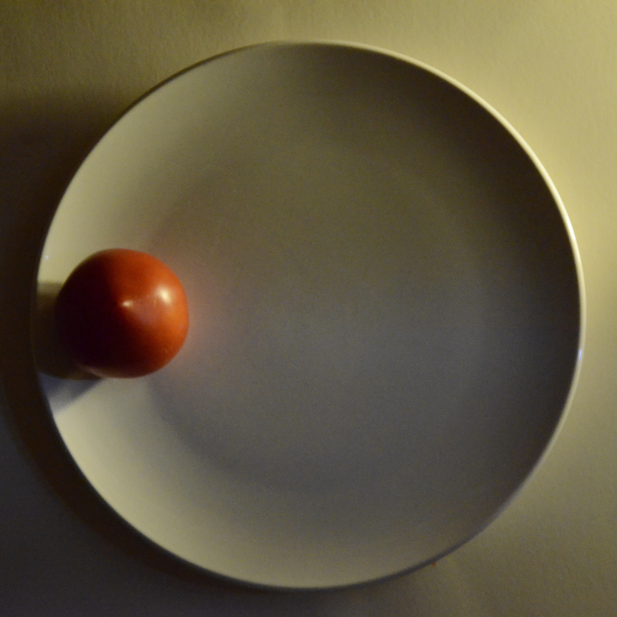 Работы студентов. Начальный уровень (1 и 2 ступень) . "Основы фото-мастерства". Максим Матвийченко и Виктория Басова профессионалы своего дела