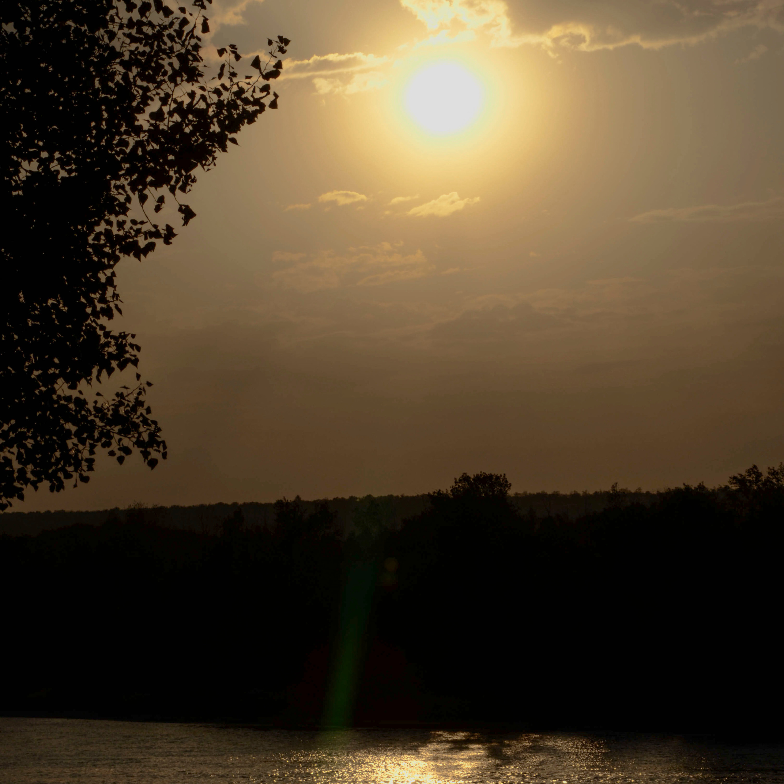 Работы студентов. Начальный уровень (1 и 2 ступень) . "Основы фото-мастерства". Максим Матвийченко и Виктория Басова профессионалы своего дела