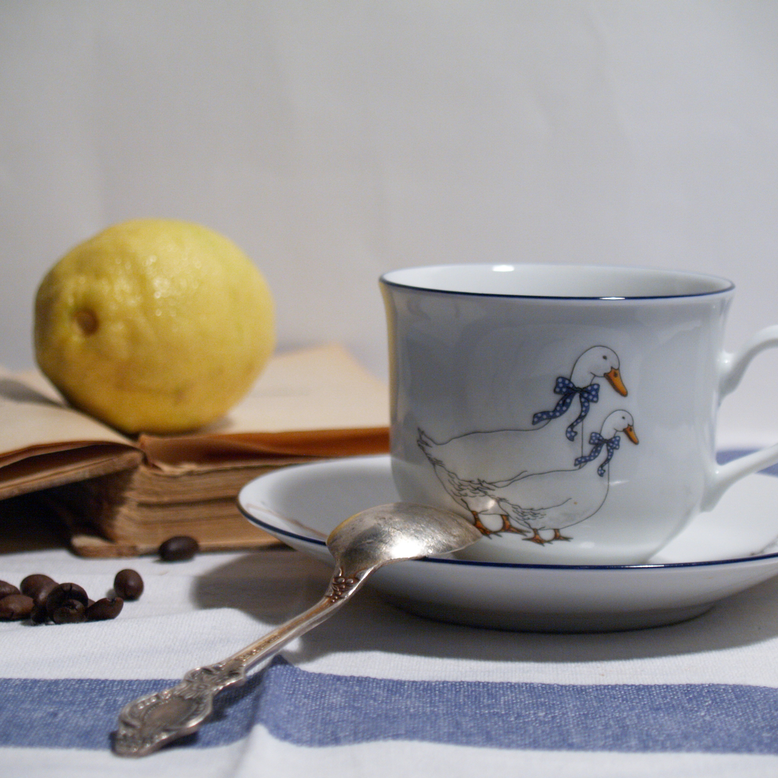 Работы студентов. Начальный уровень (1 и 2 ступень) . "Основы фото-мастерства". Максим Матвийченко и Виктория Басова профессионалы своего дела