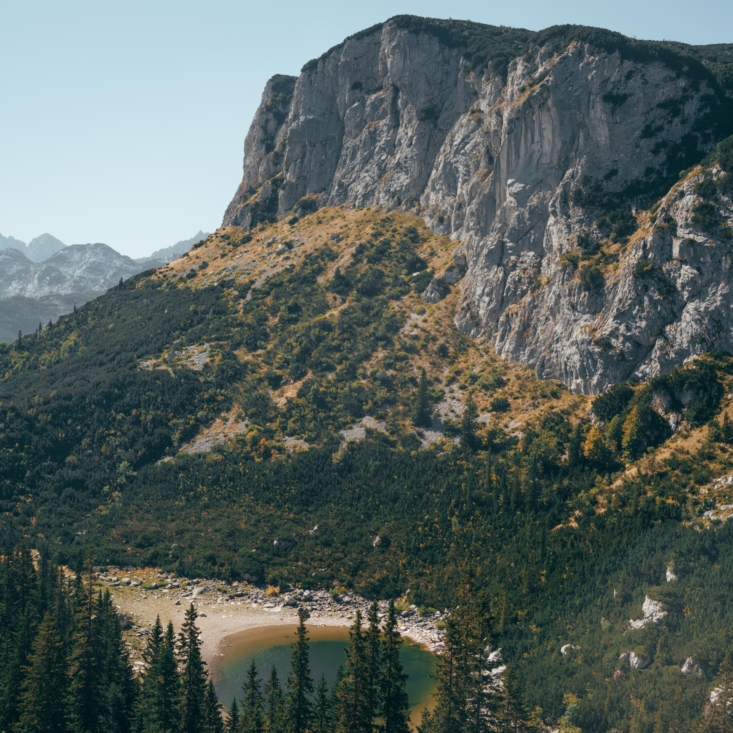 ЦРВЕНА ГРЕДА. ЧЕРНОГОРИЯ