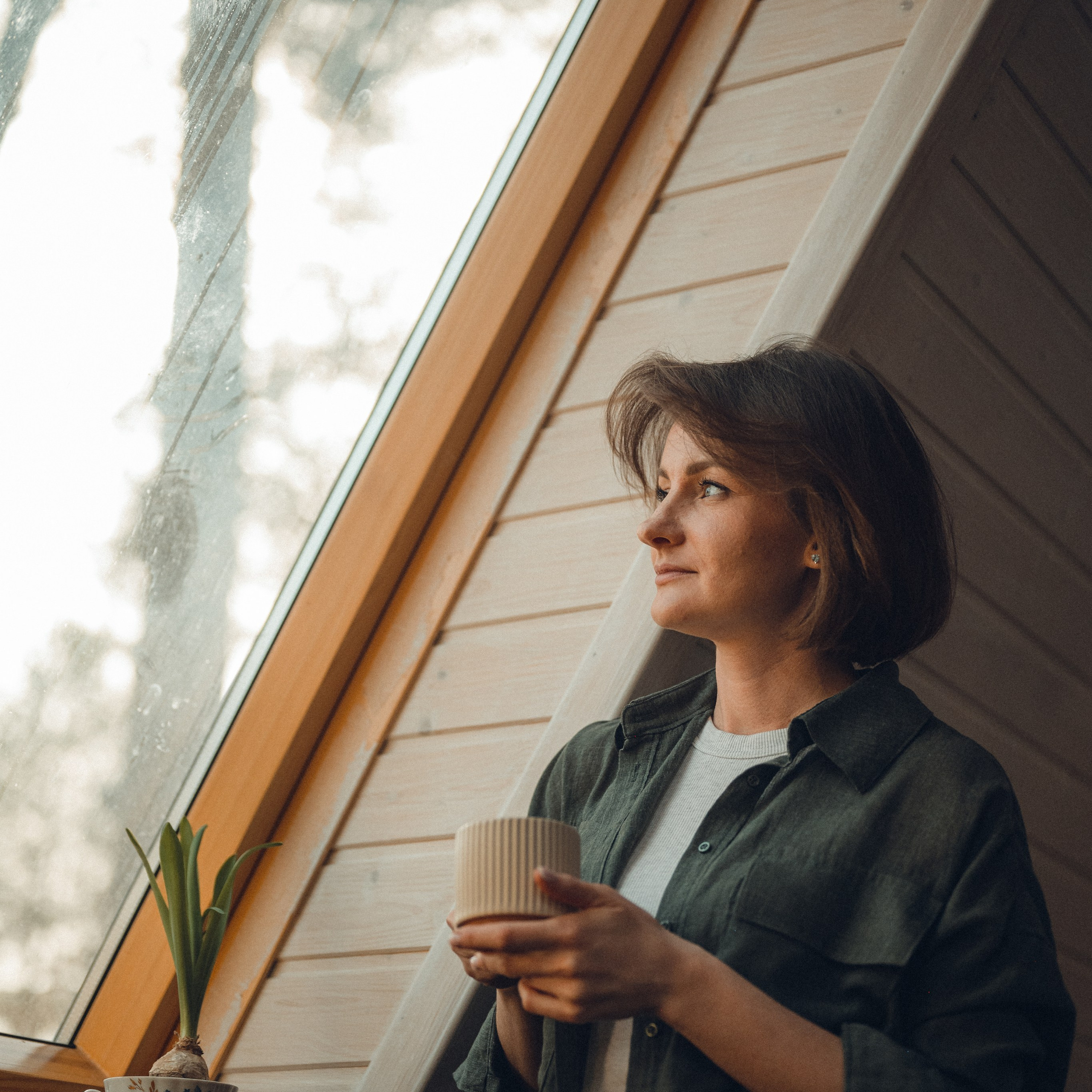 ДОМИК В ЛЕСУ