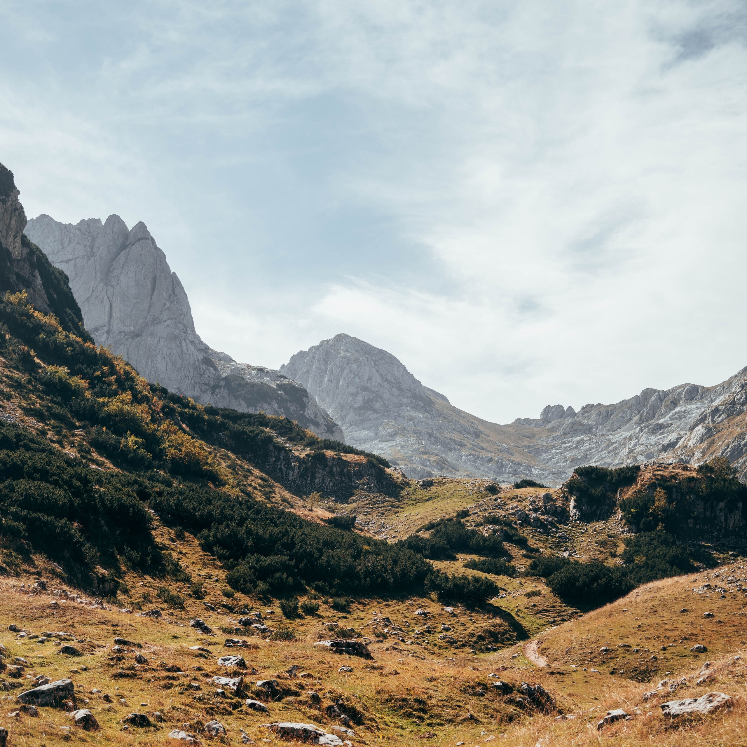 ДОЛИНА ЛОКВИЦЕ. ЧЕРНОГОРИЯ