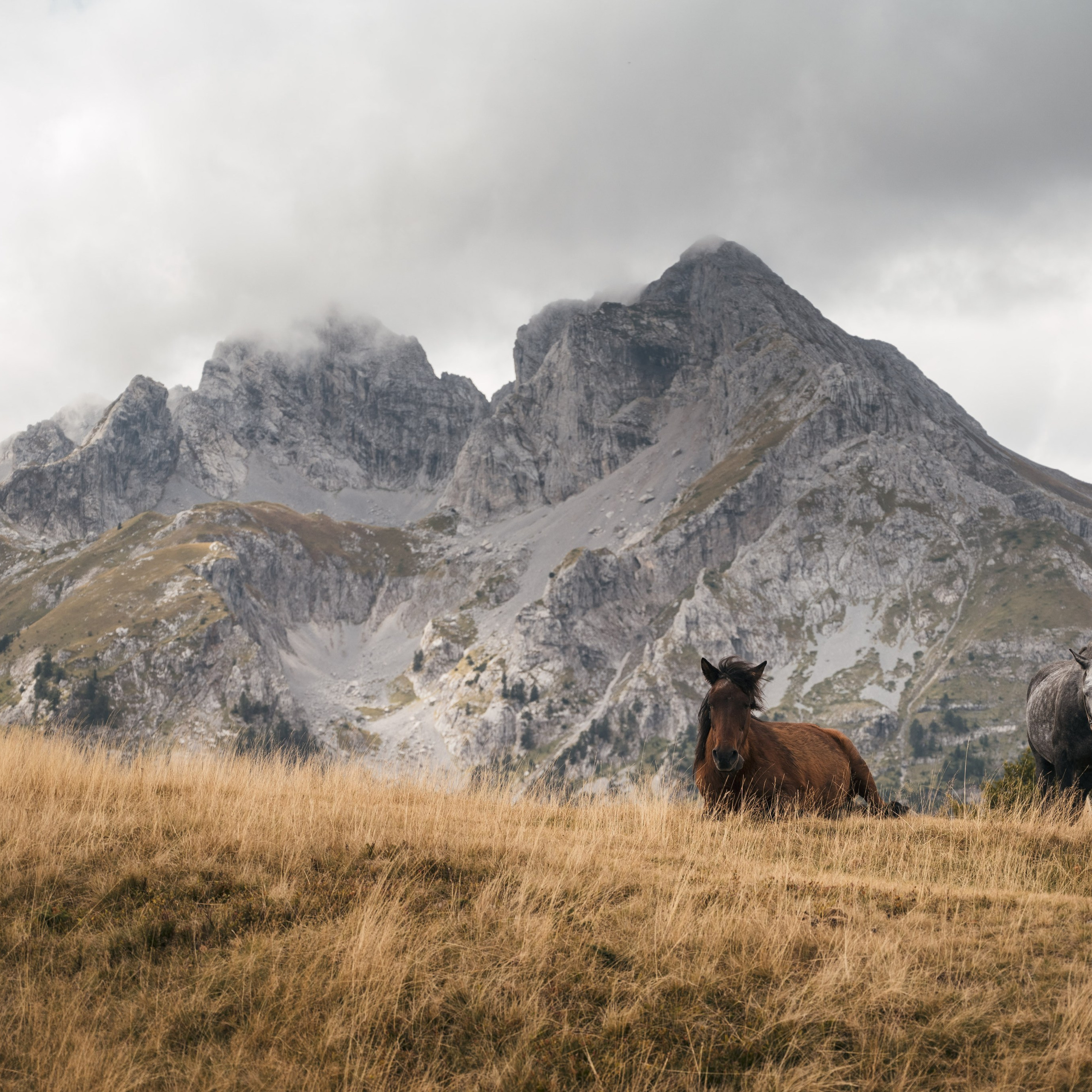 ГОРЫ КОМОВИ. ЧЕРНОГОРИЯ