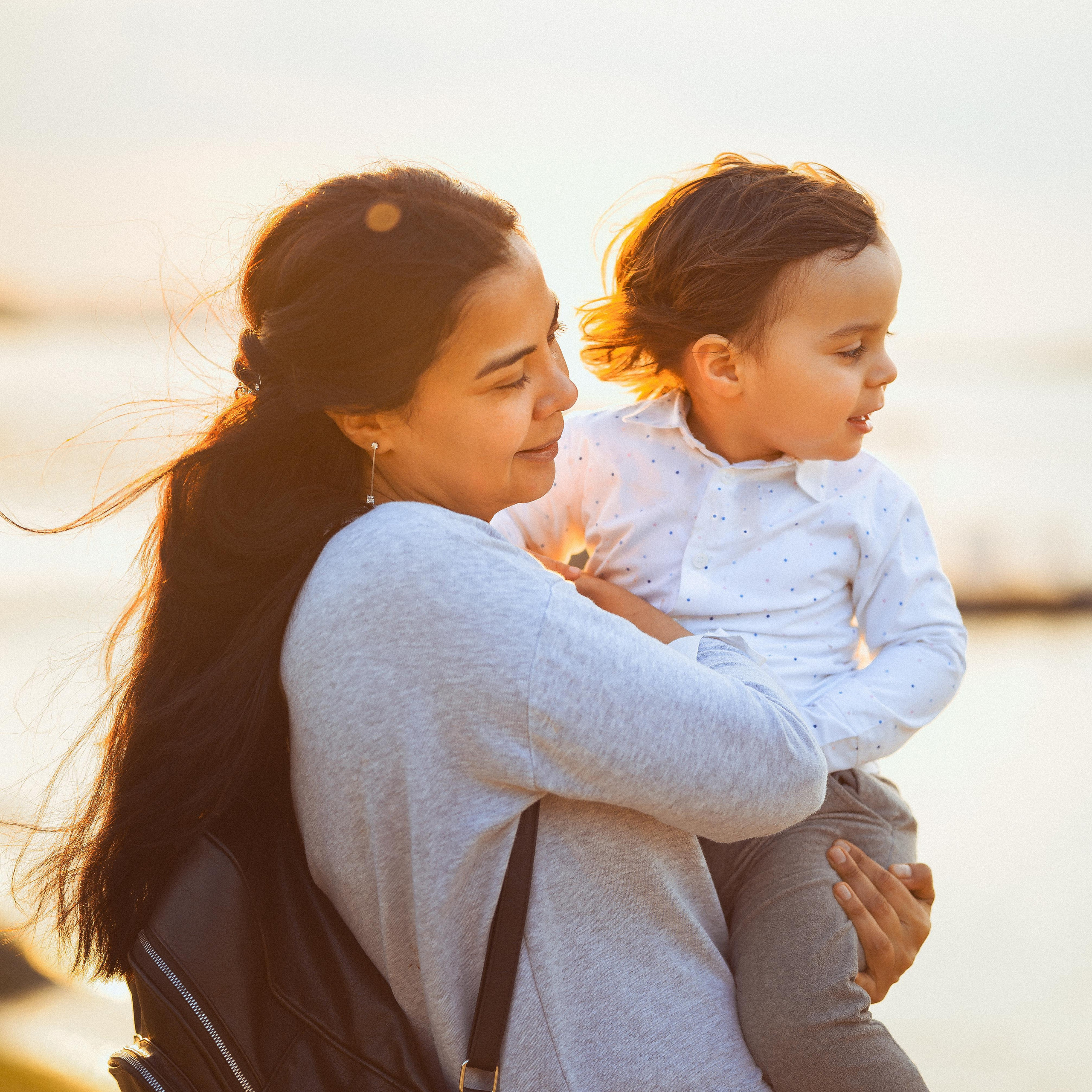 ЛЕБЕДИ НА ДУНАЕ