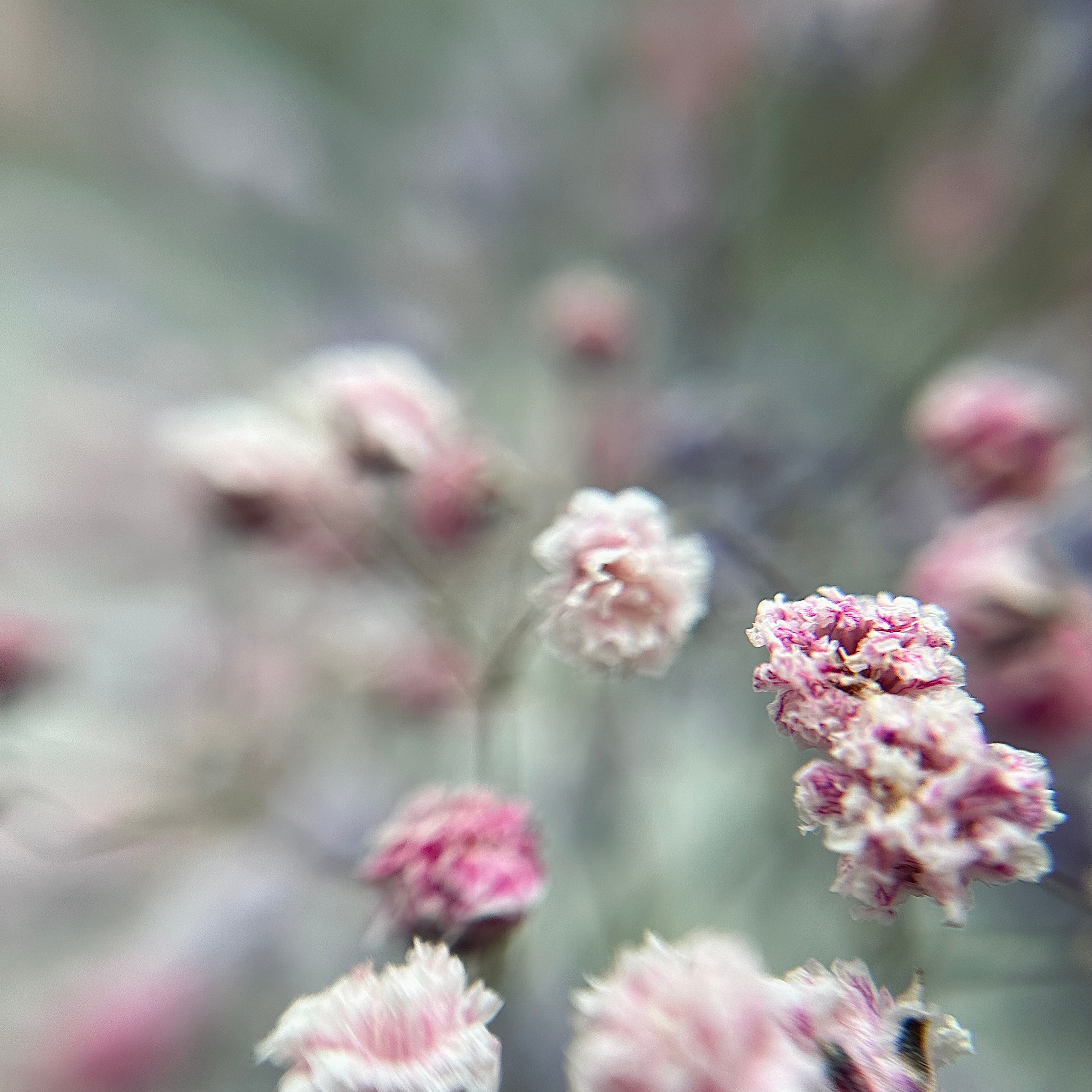 Мобильная фотография