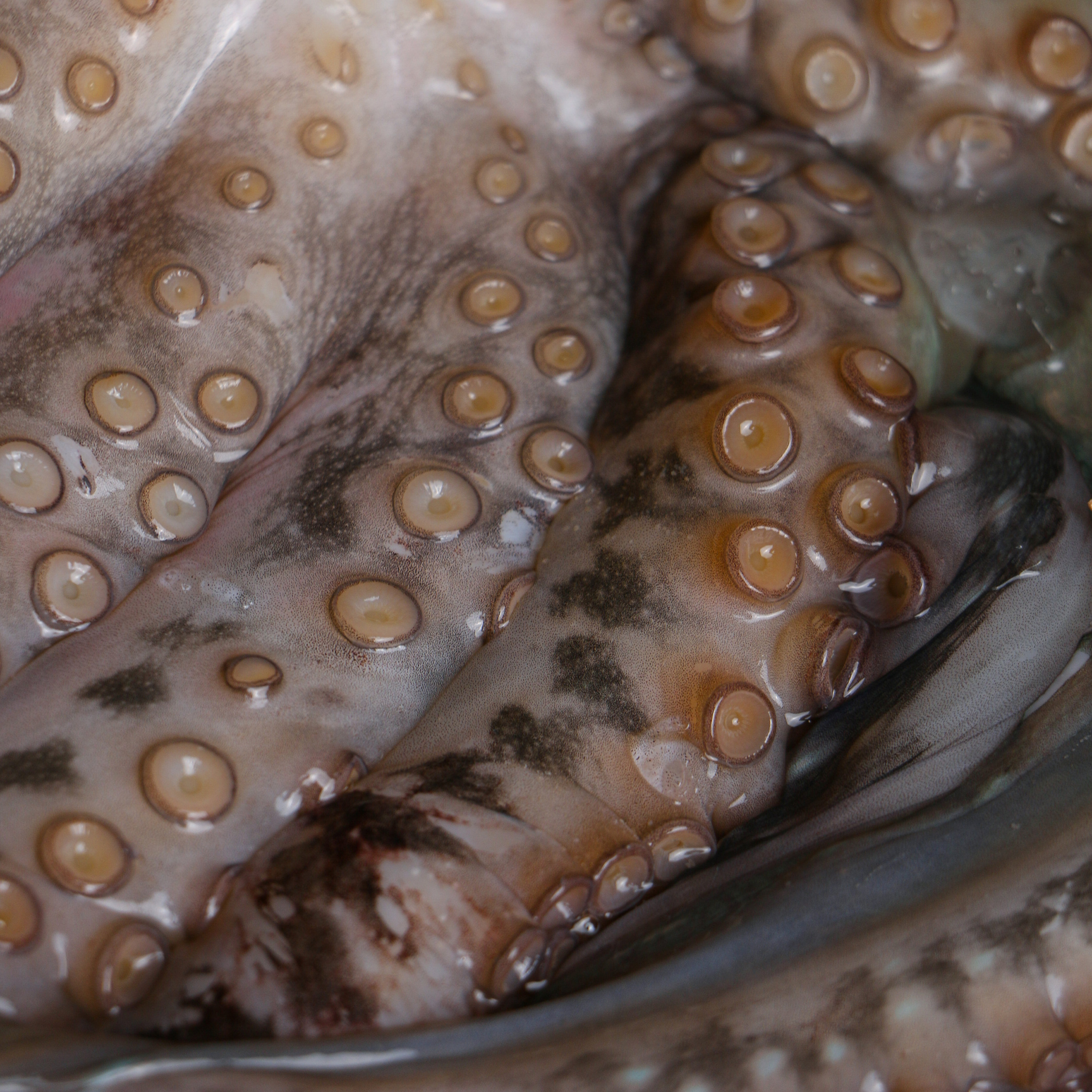 Отзывы. Контент-фотограф Калининград АНАСТАСИЯ ТКАЧЕВА