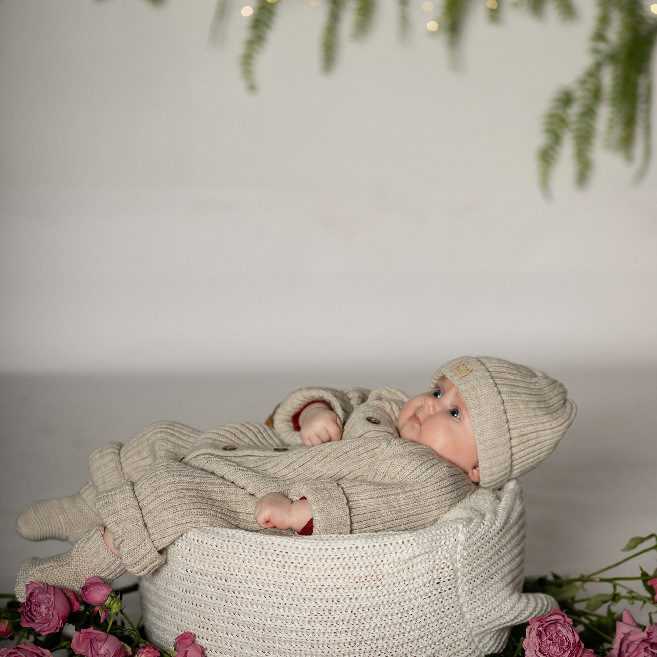 Отзывы. Фотограф Заринск. Комиссарова Кристина