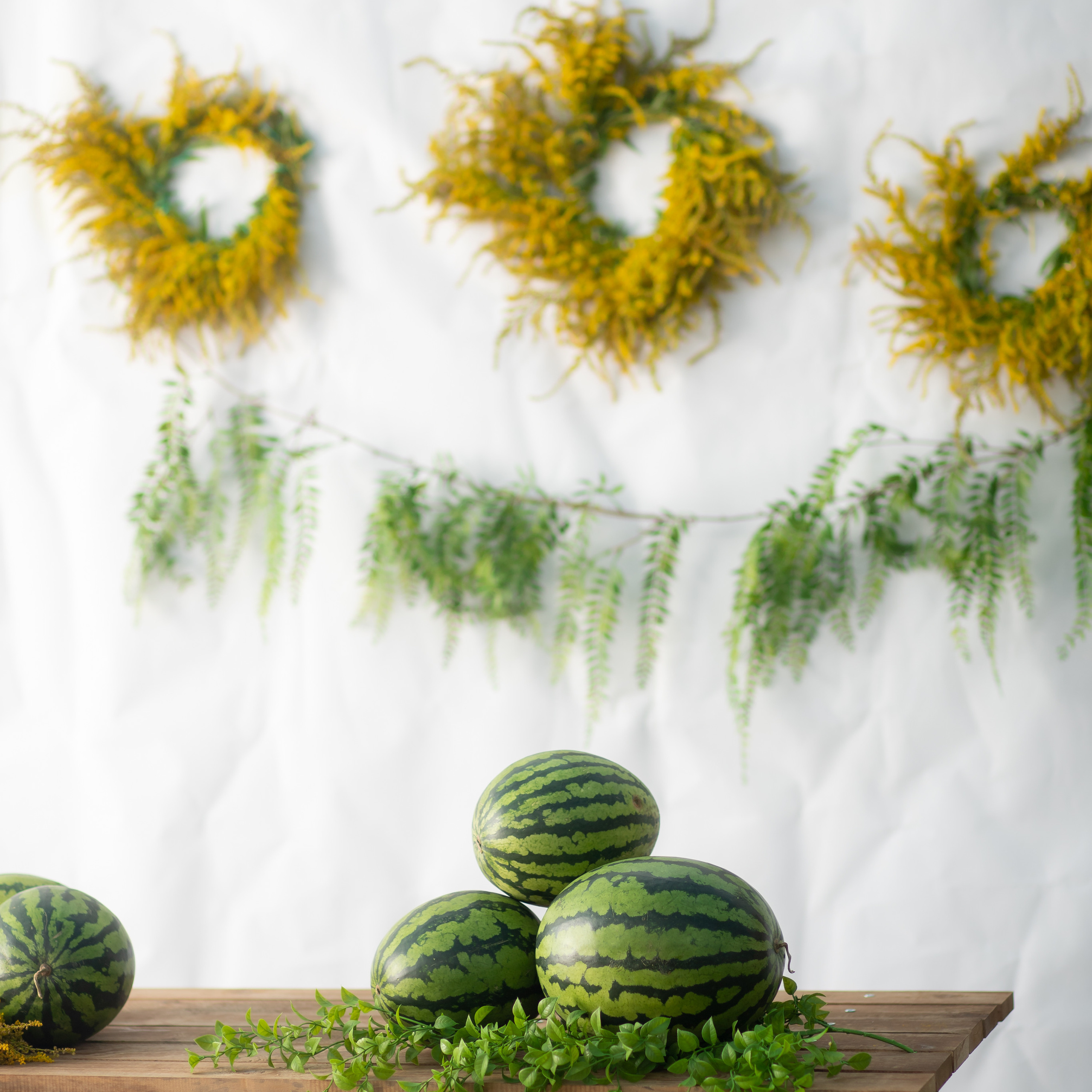 Отзывы. Фотограф Заринск. Комиссарова Кристина