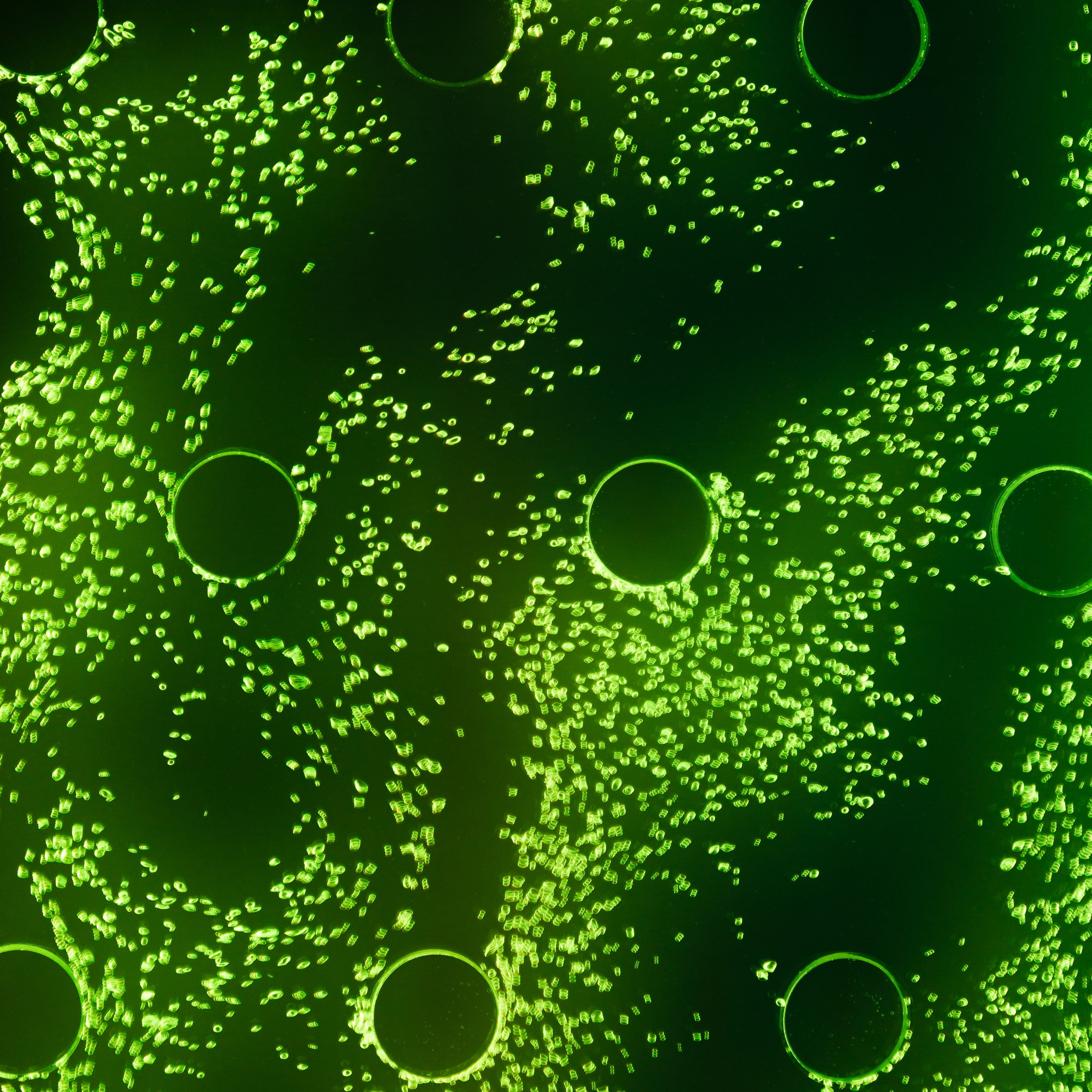 Пузырьковые панели