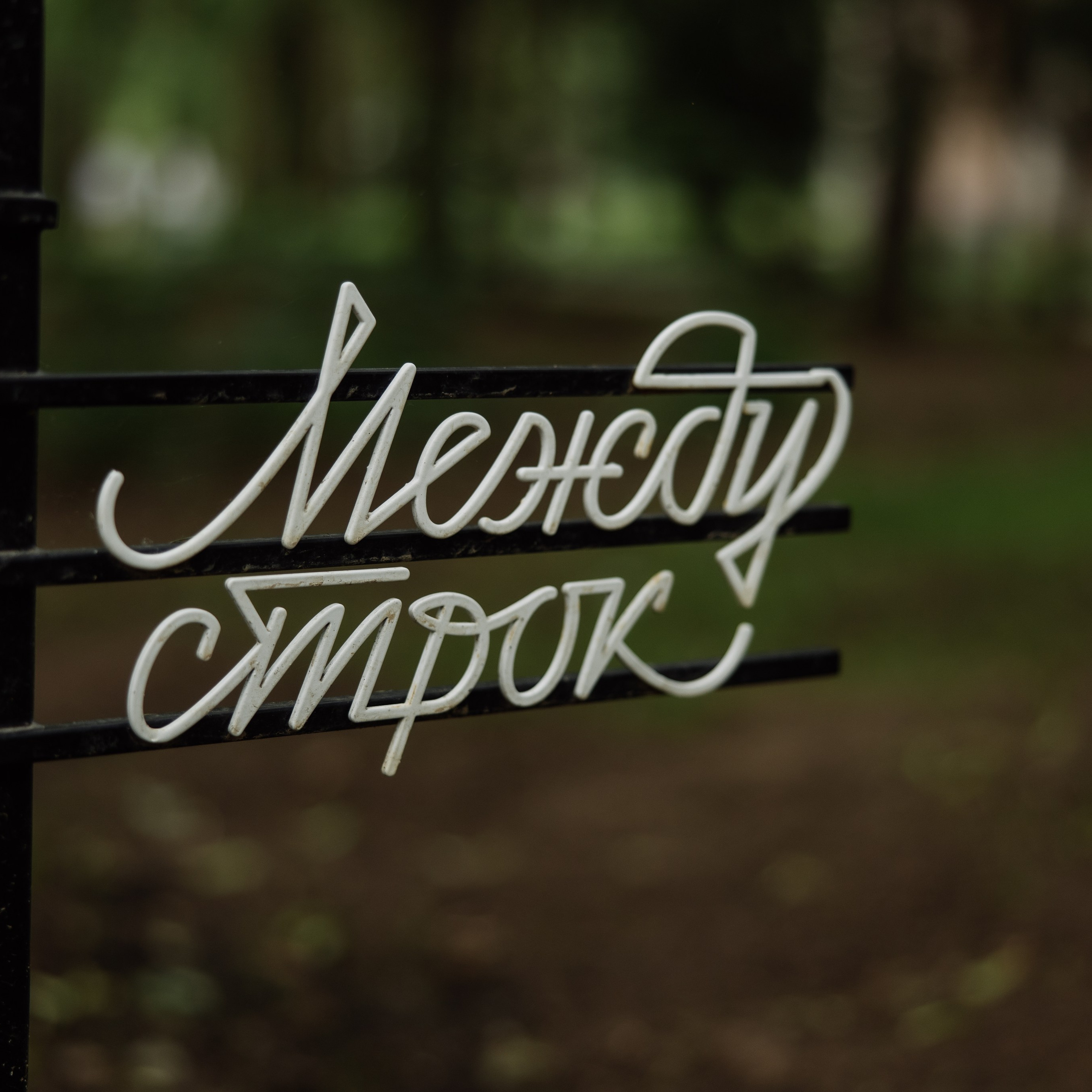 Свадьба в Переделкино. Свадебный фотограф Москва Виктория Медовик