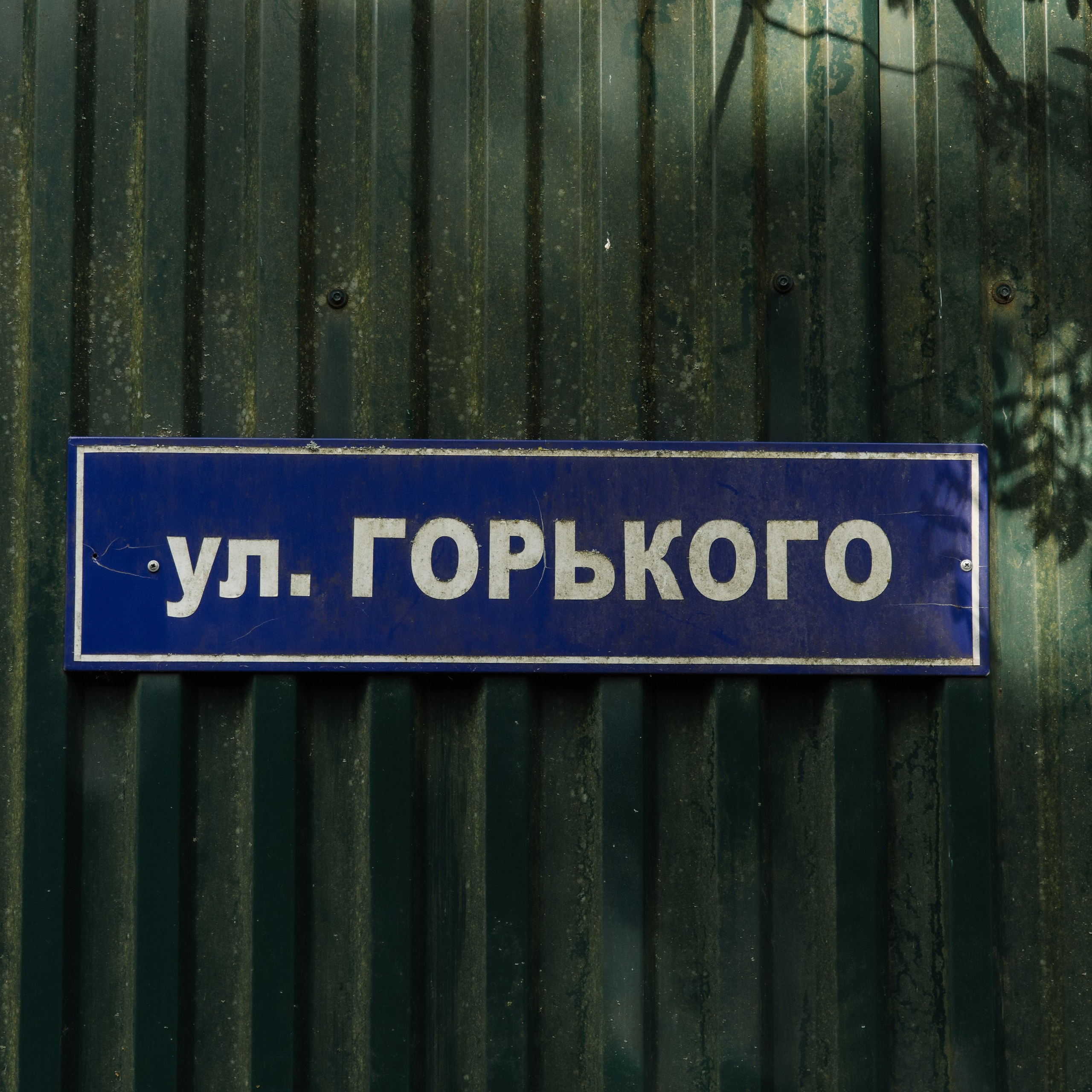 Свадьба в Переделкино. Свадебный фотограф Москва Виктория Медовик