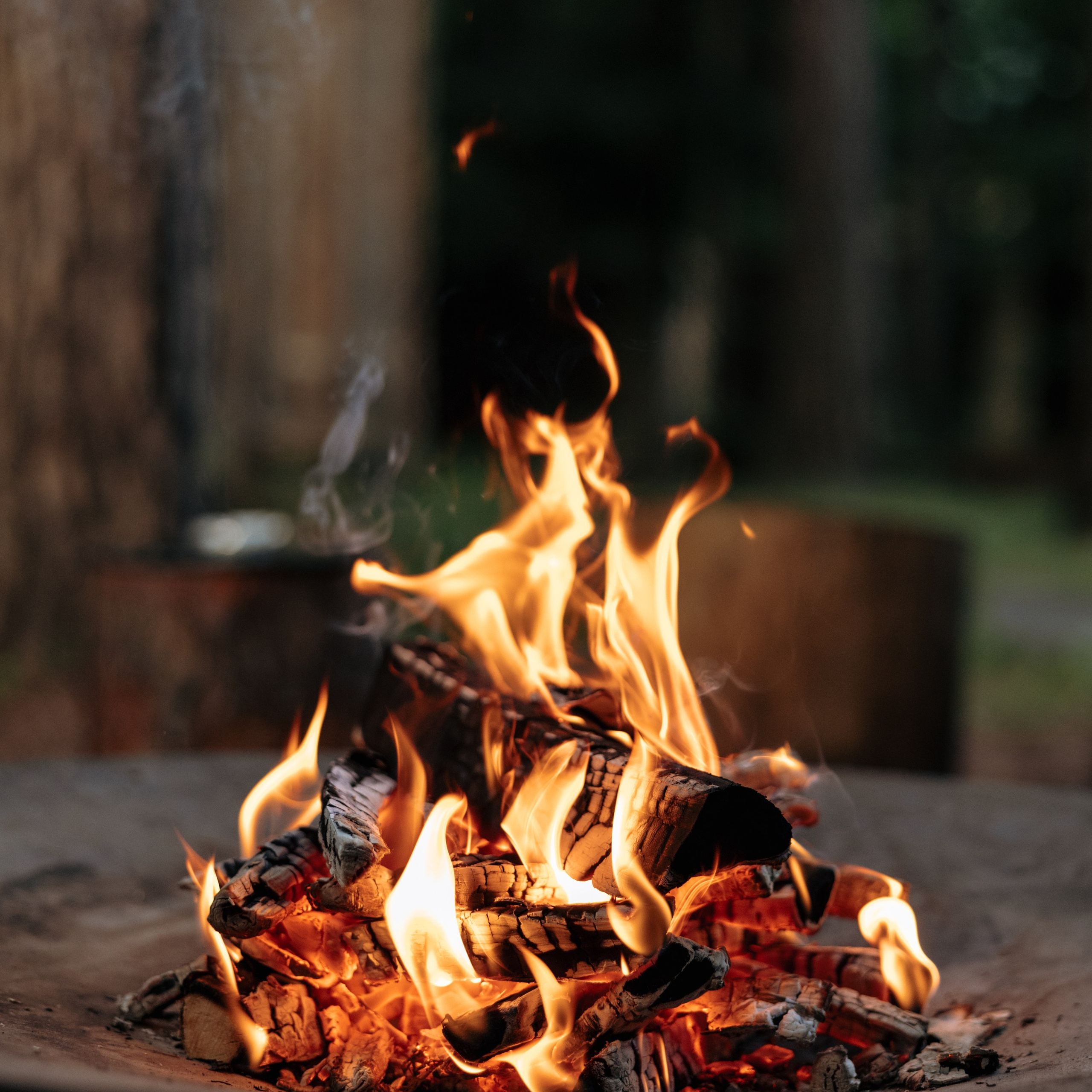 Свадьба в Переделкино. Свадебный фотограф Москва Виктория Медовик