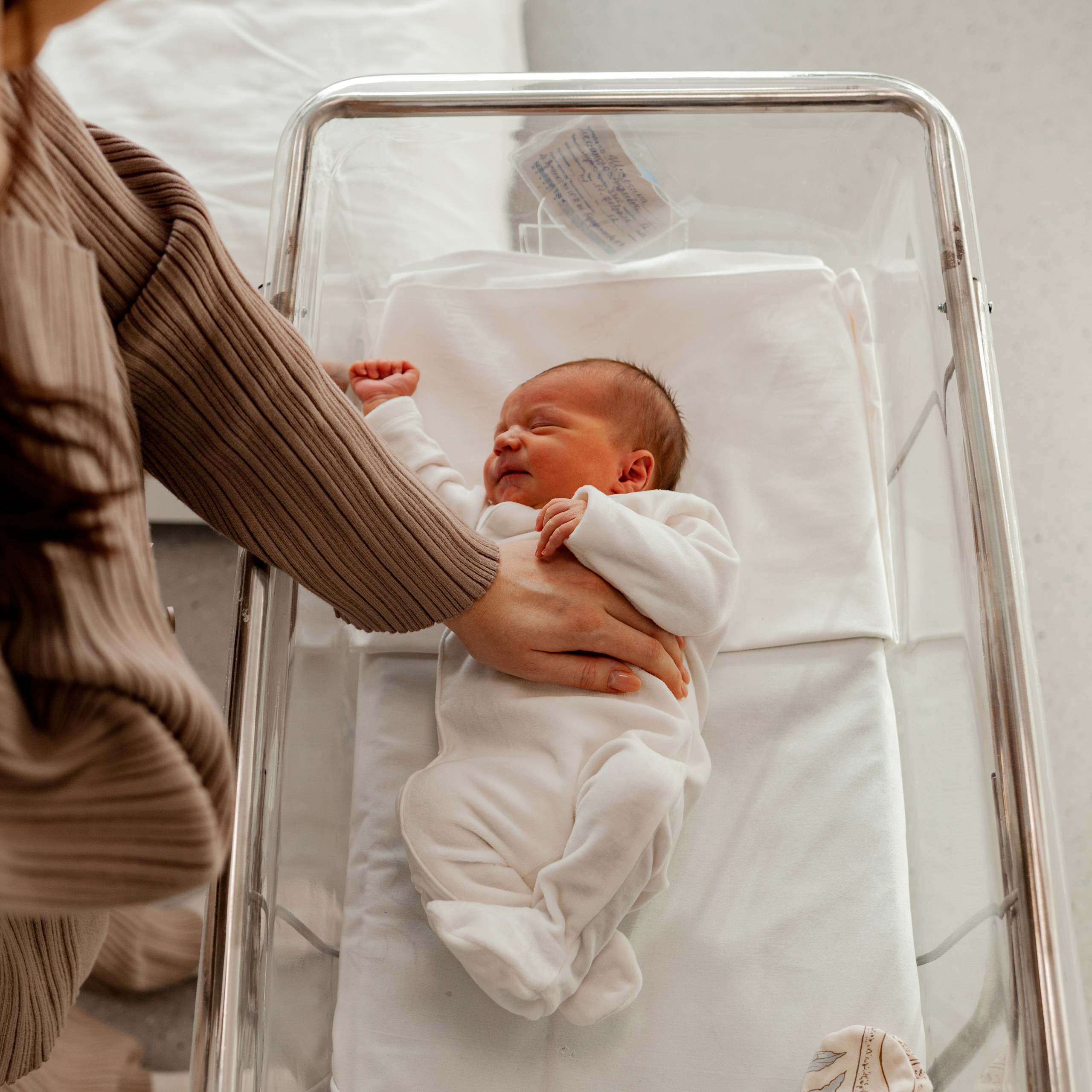 Выписка Николушки