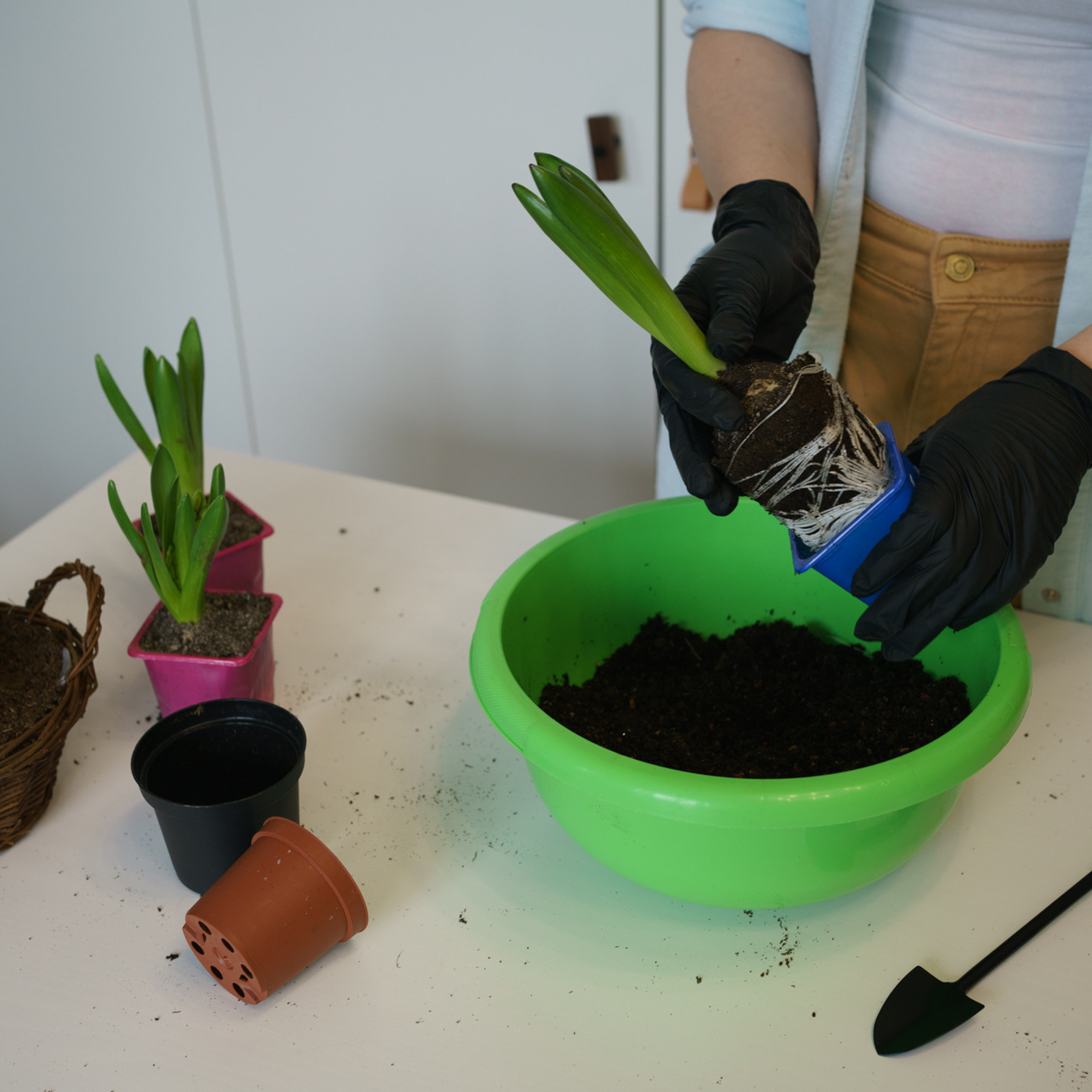 Отзывы о фотографе в Санкт-Петербурге. Профессиональный фотограф в Санкт-Петербурге Переславцева Екатерина