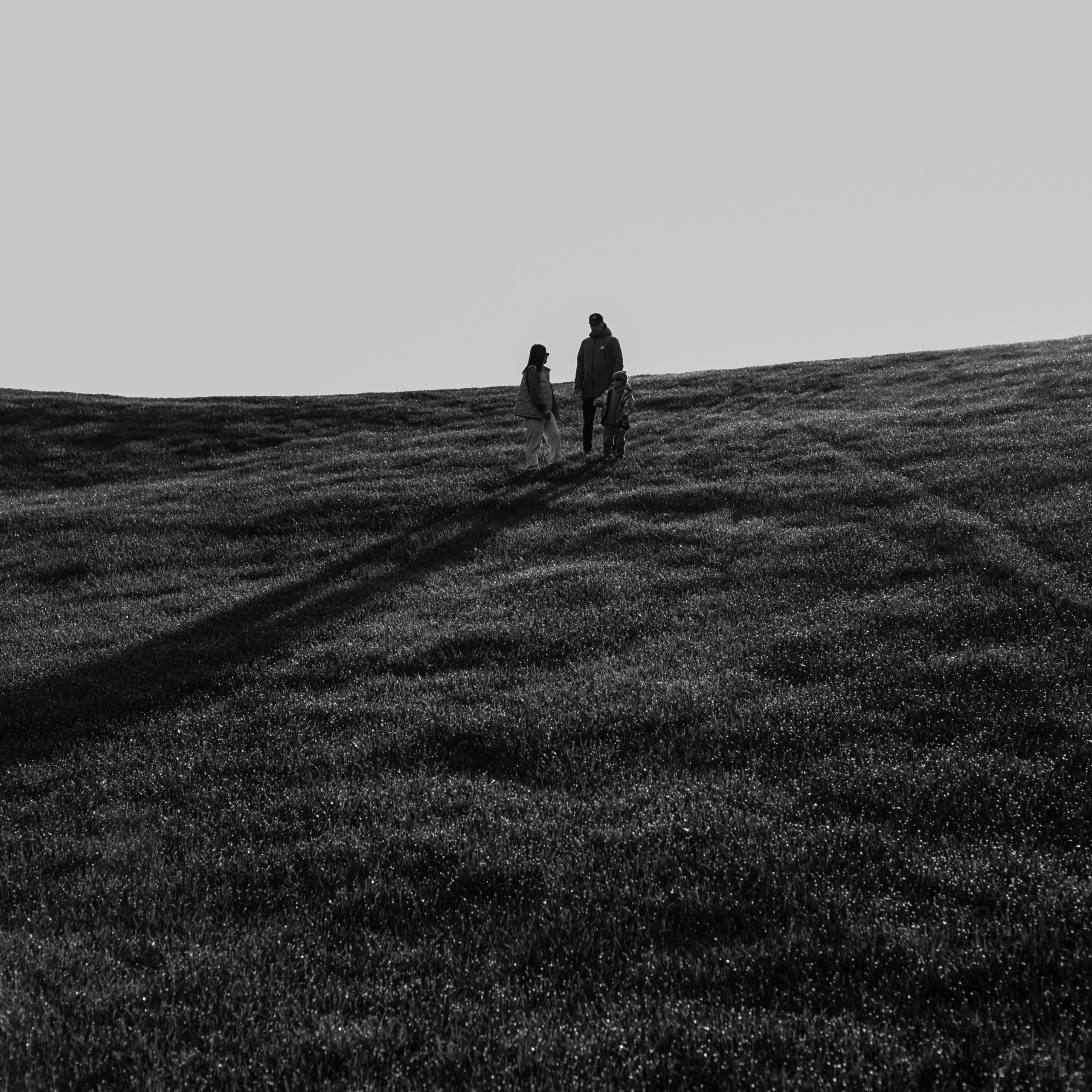 Свежесть утренней росы