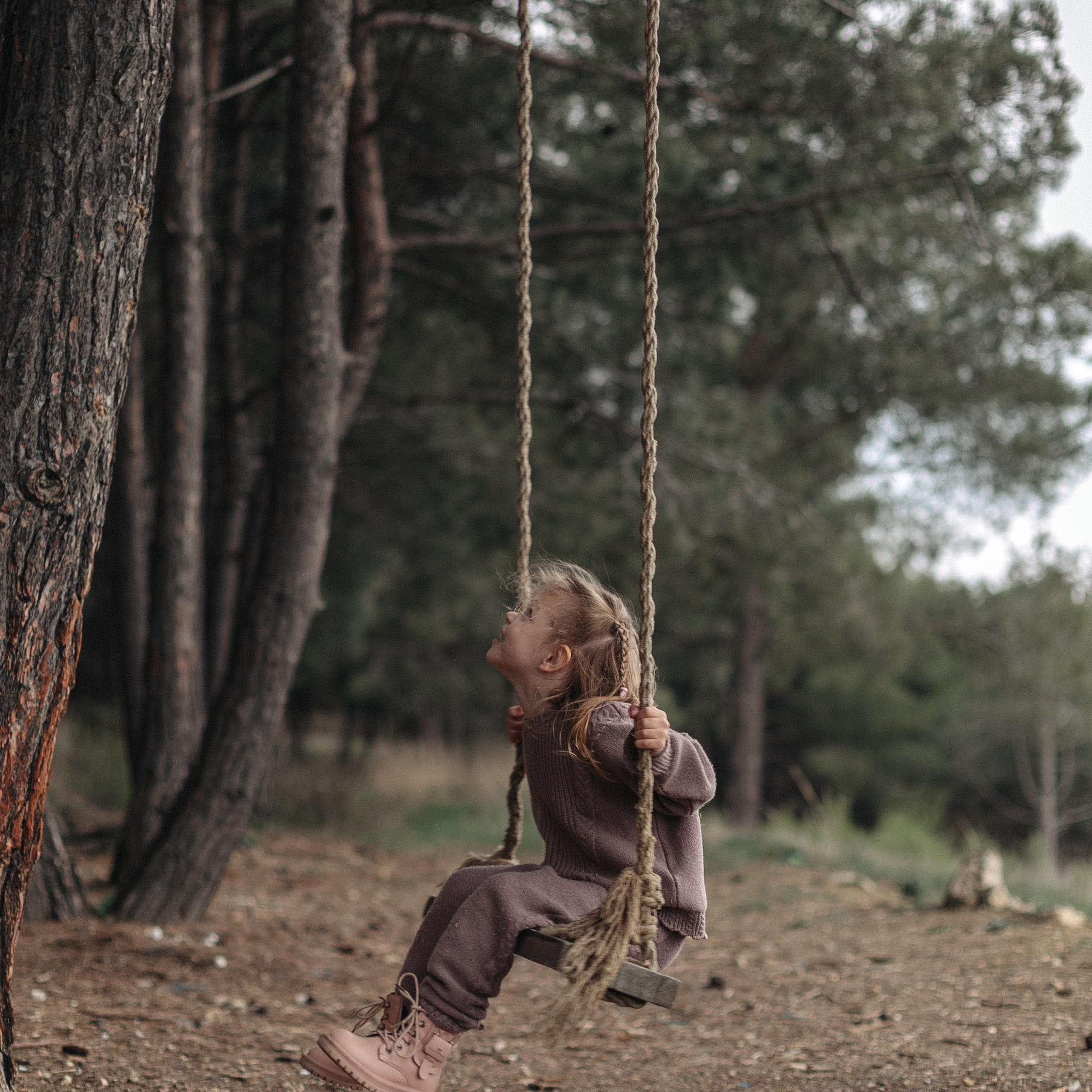 Крылатые качели