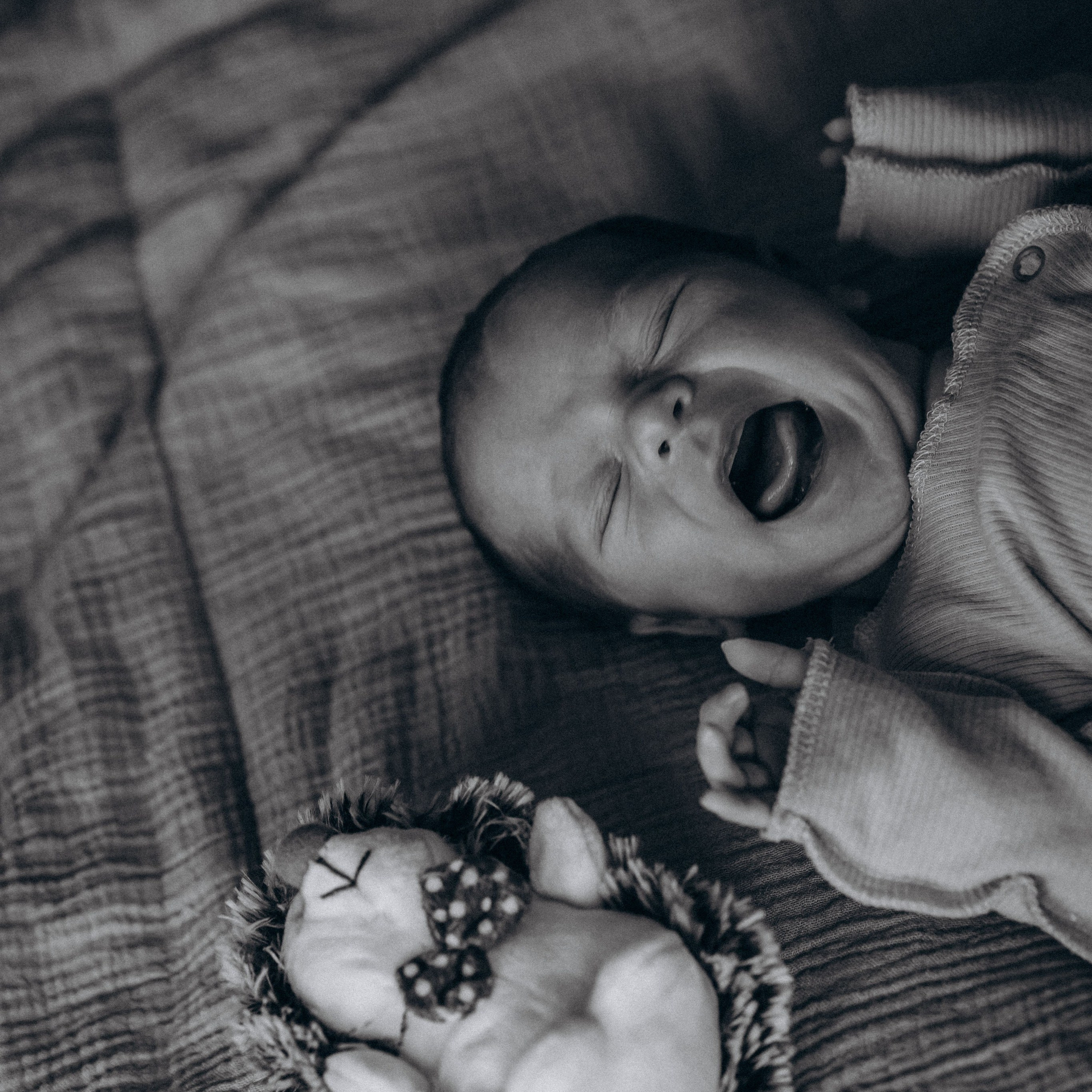 Семья Кербес