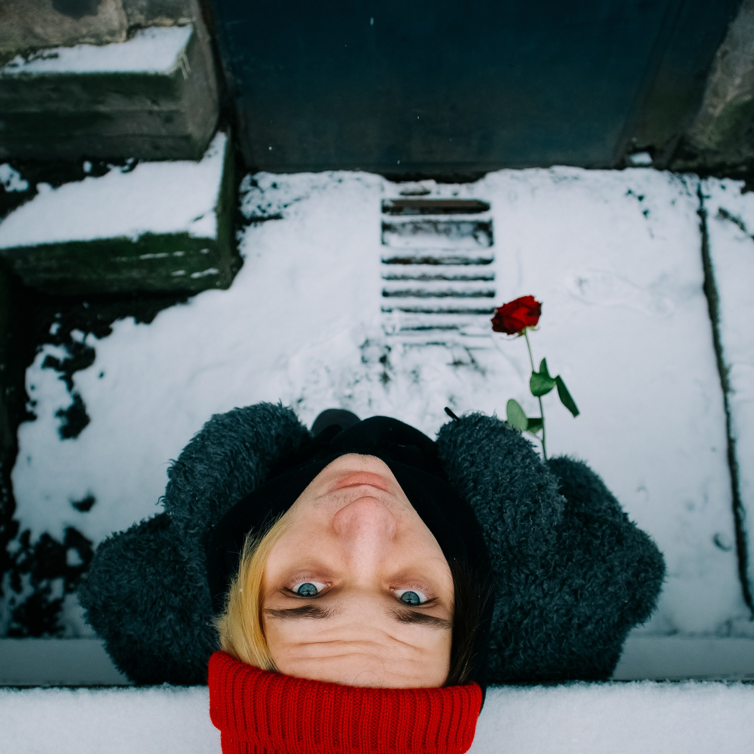 Розы и шипы