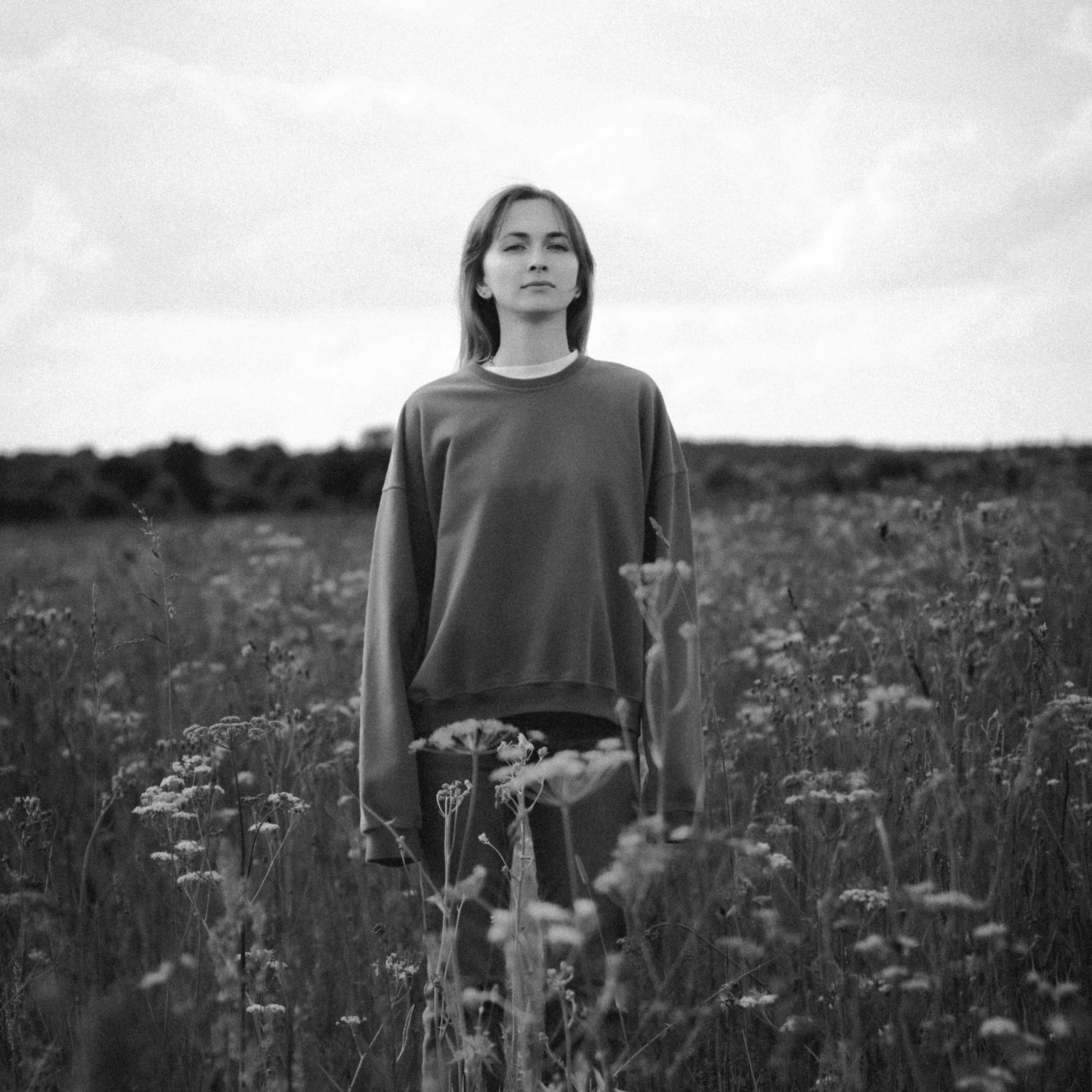 Полевые цветы