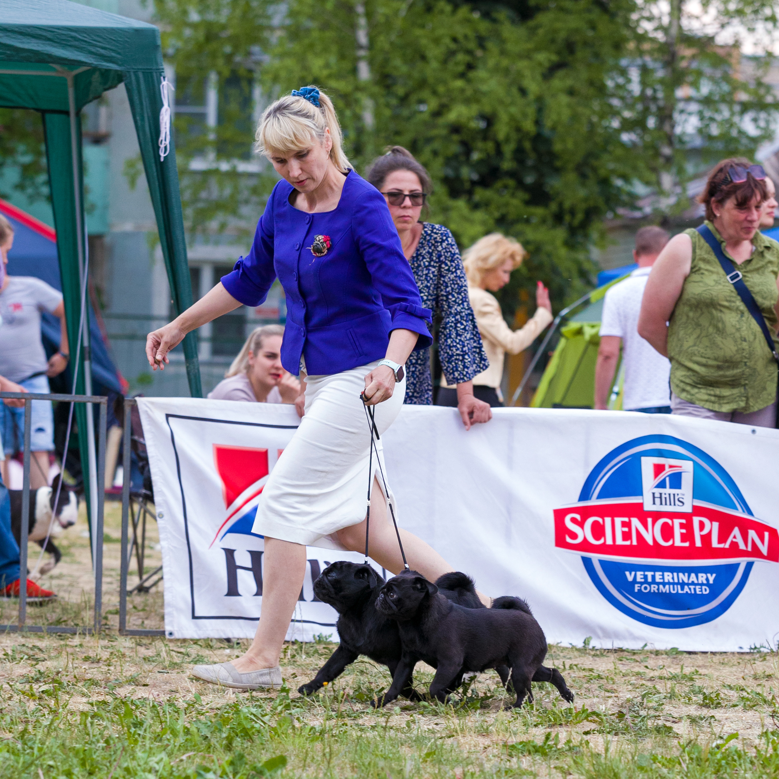 Отзывы. Фотограф — анималист Татьяна Ли