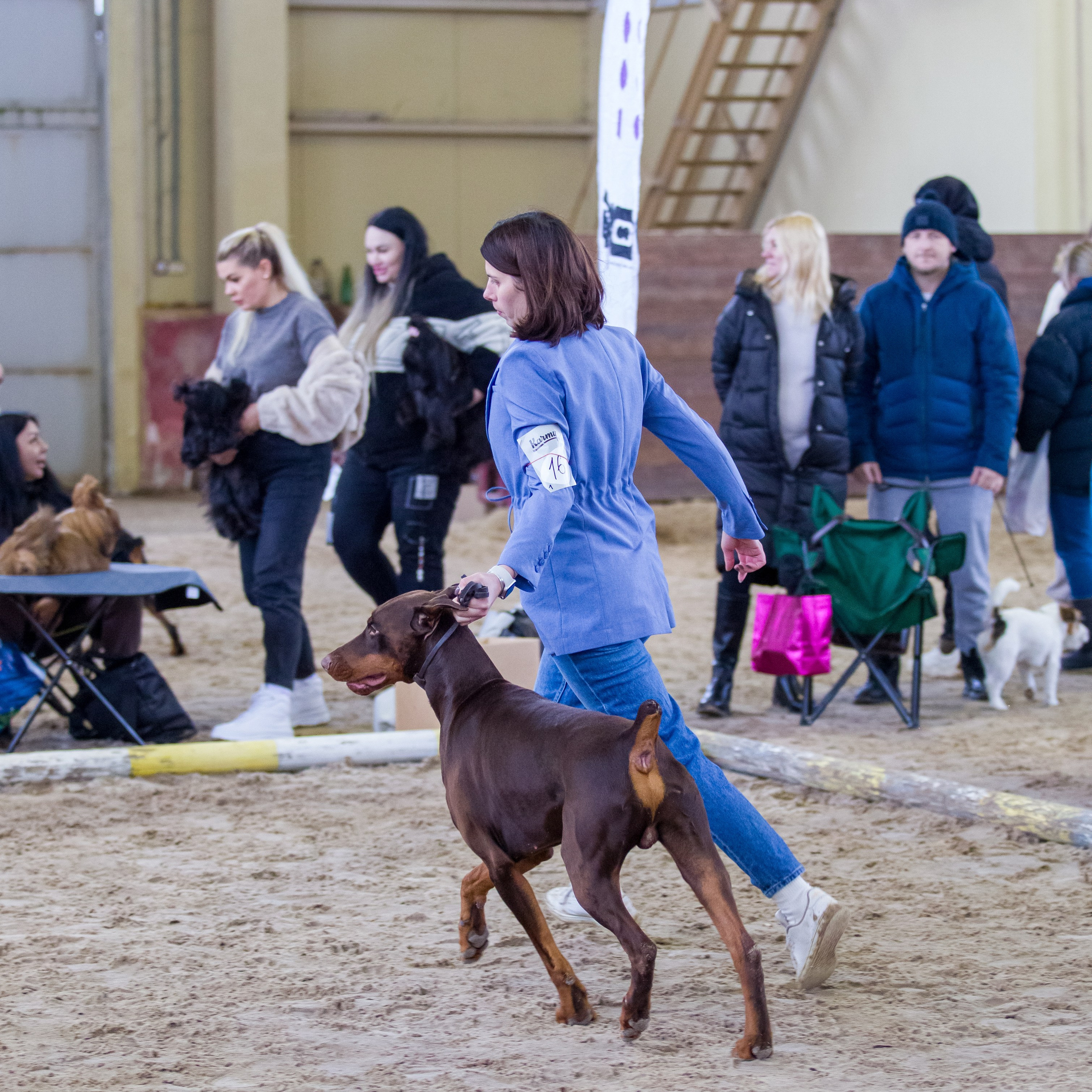 Отзывы. Фотограф — анималист Татьяна Ли