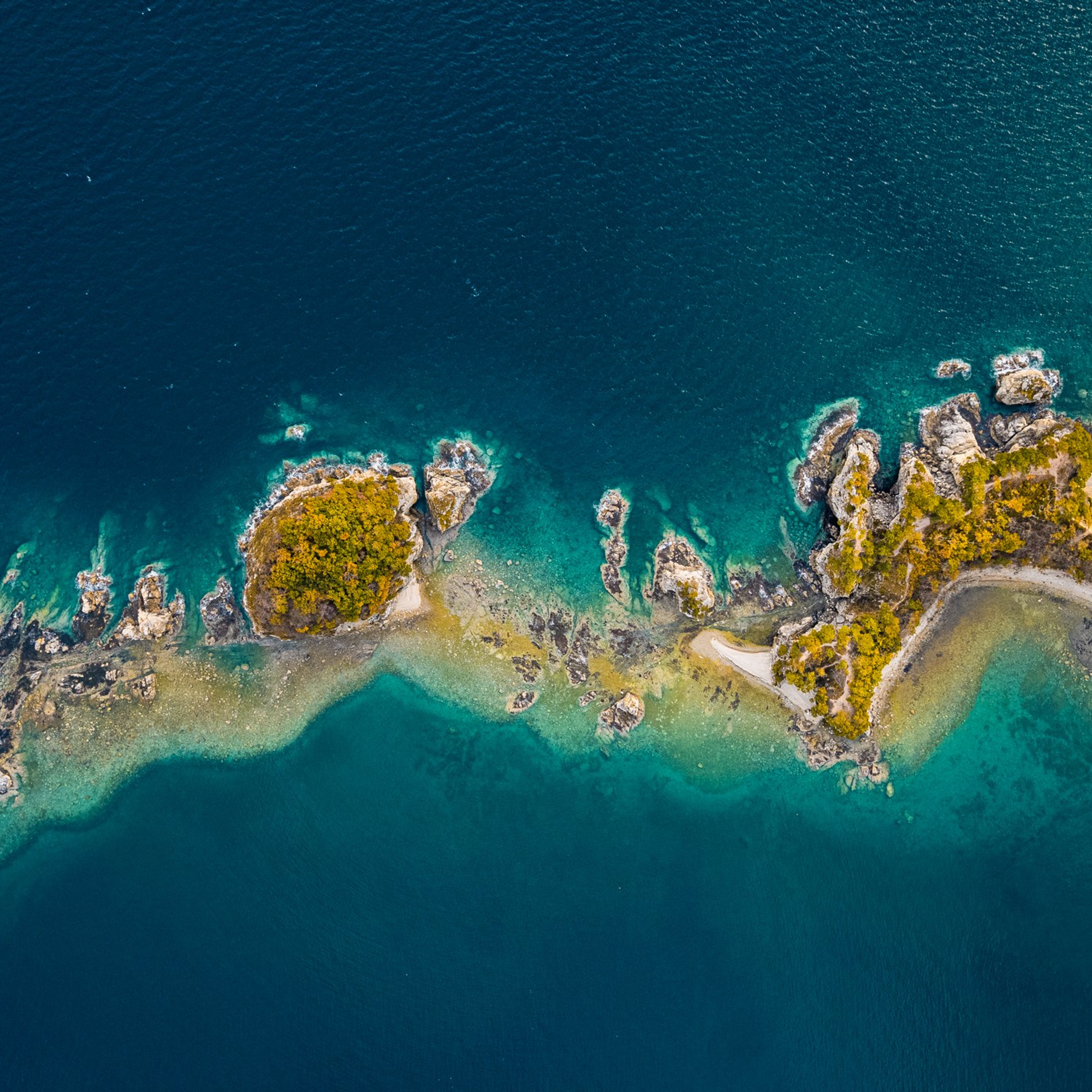 Бухта Льва | Мыс Сосновый