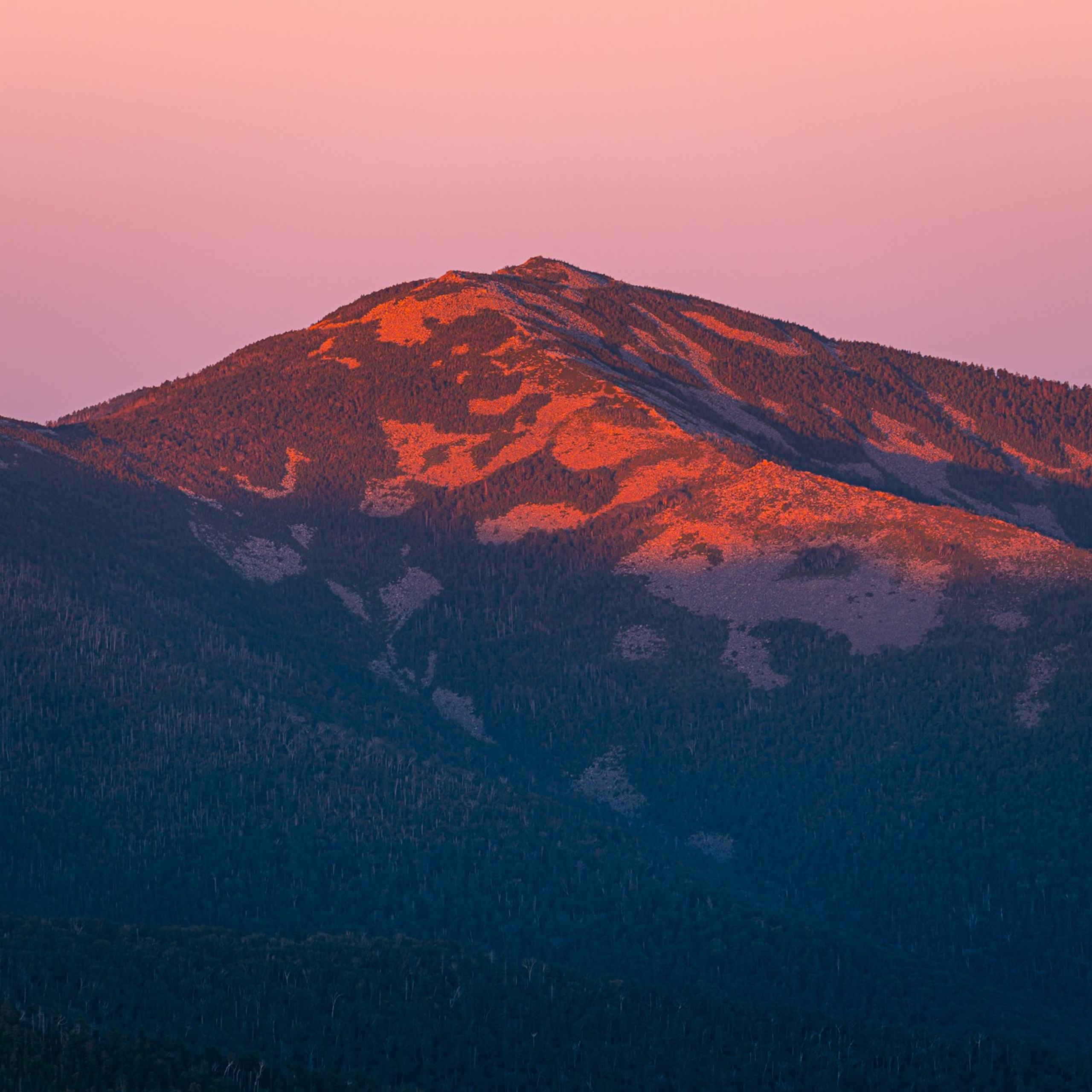 Гора Литовка (Фалаза)