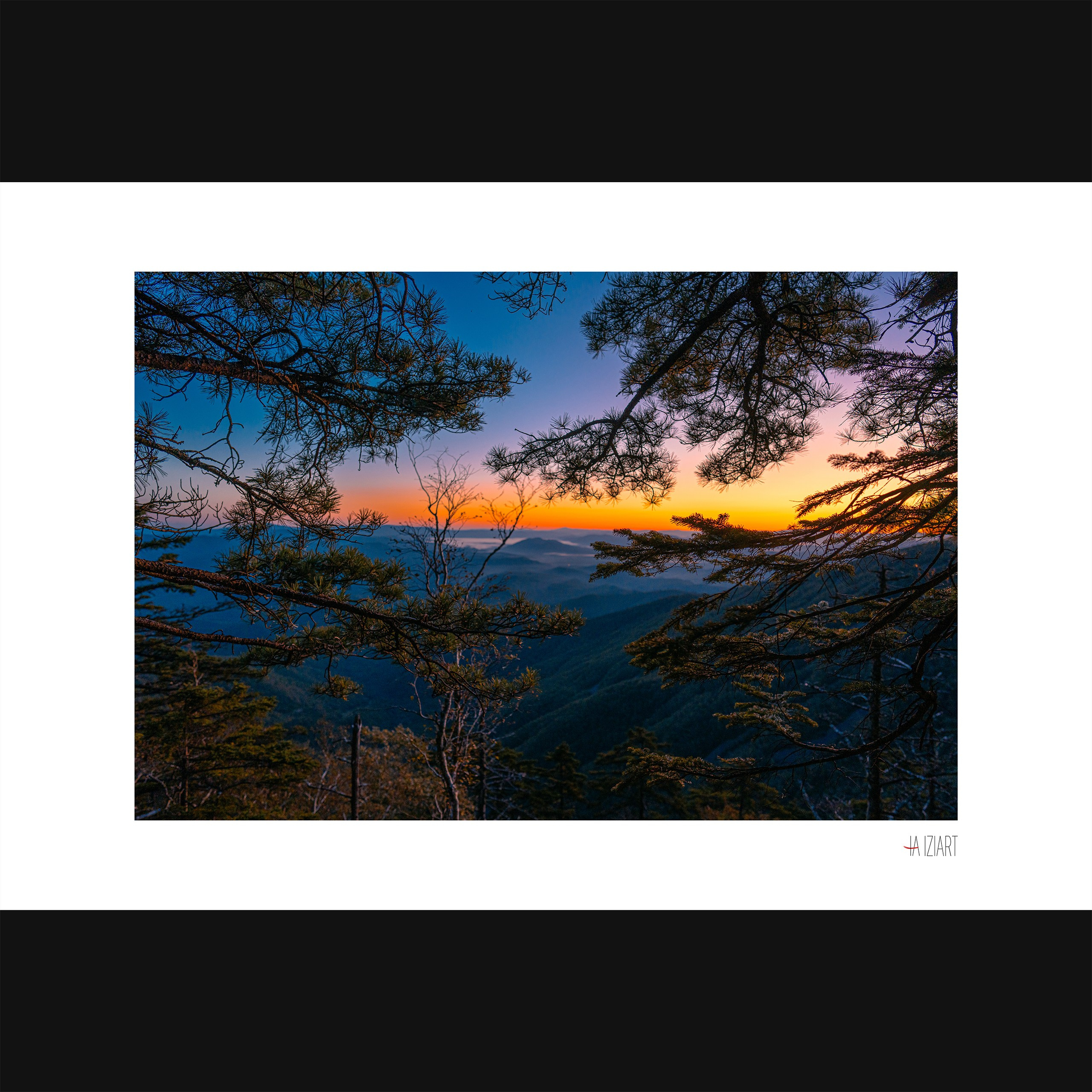 Зарево 40×60