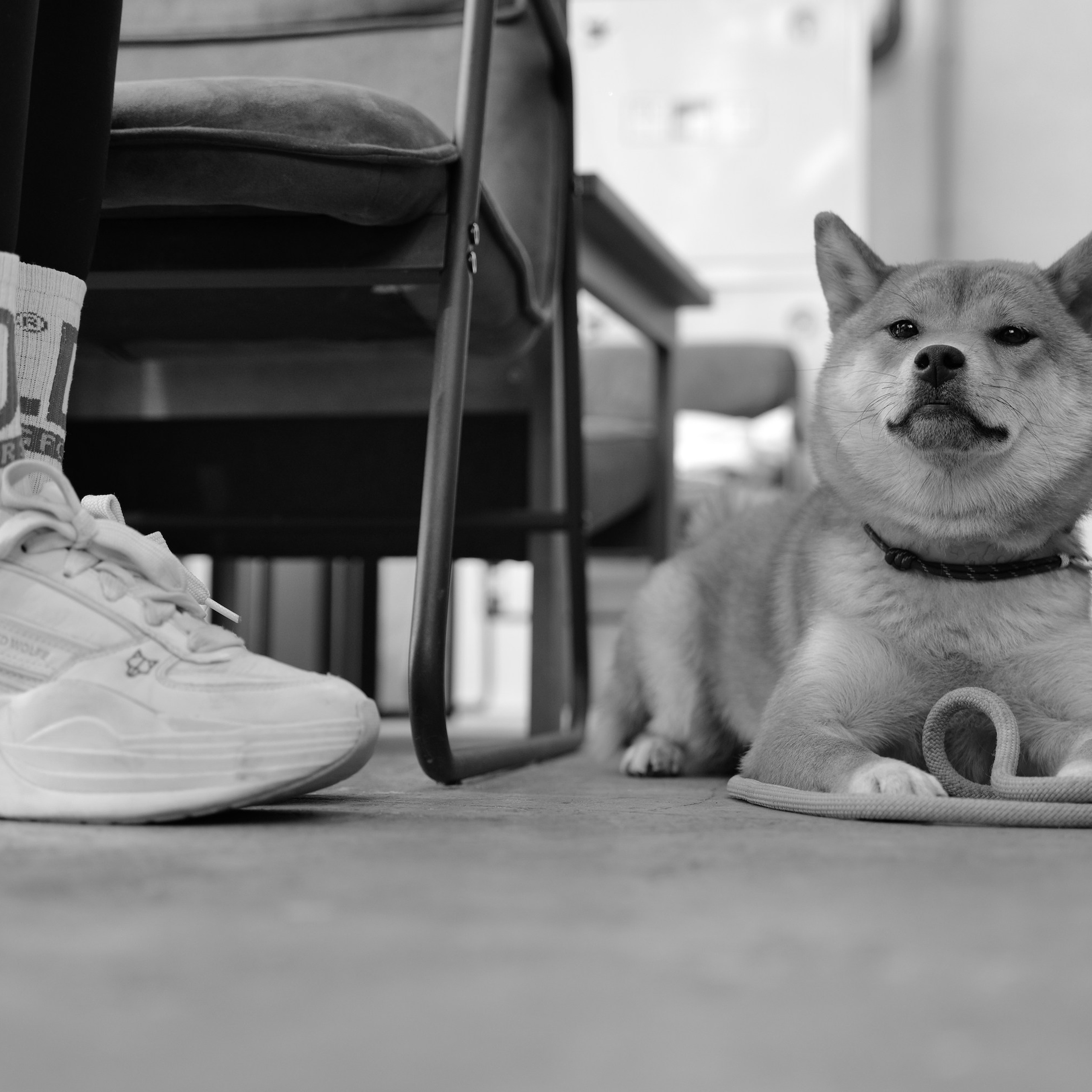 Максим Бут фотограф,  Maxim Bout photographer, фотограф в Белгороде, заказать фотосессия в Белгороде