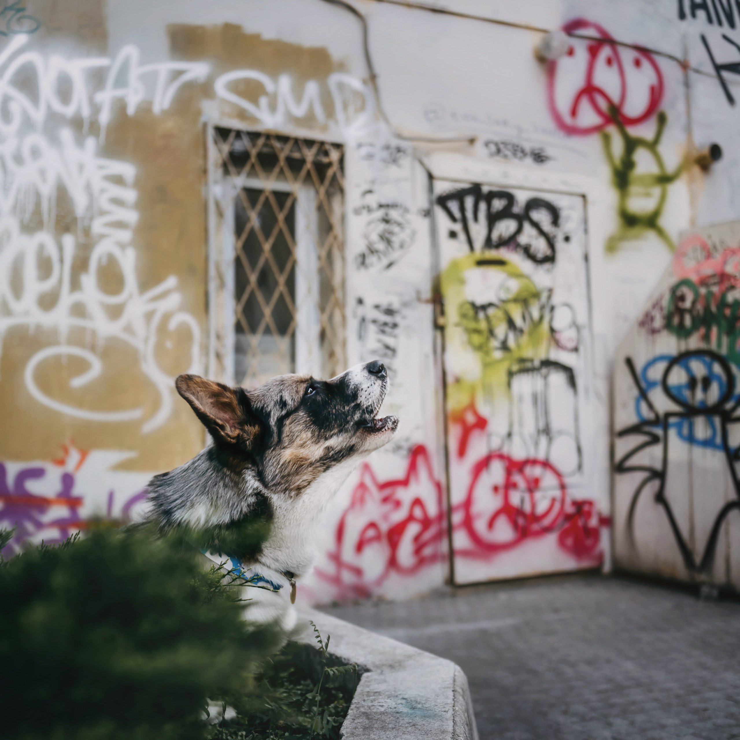 Оля и Кубик