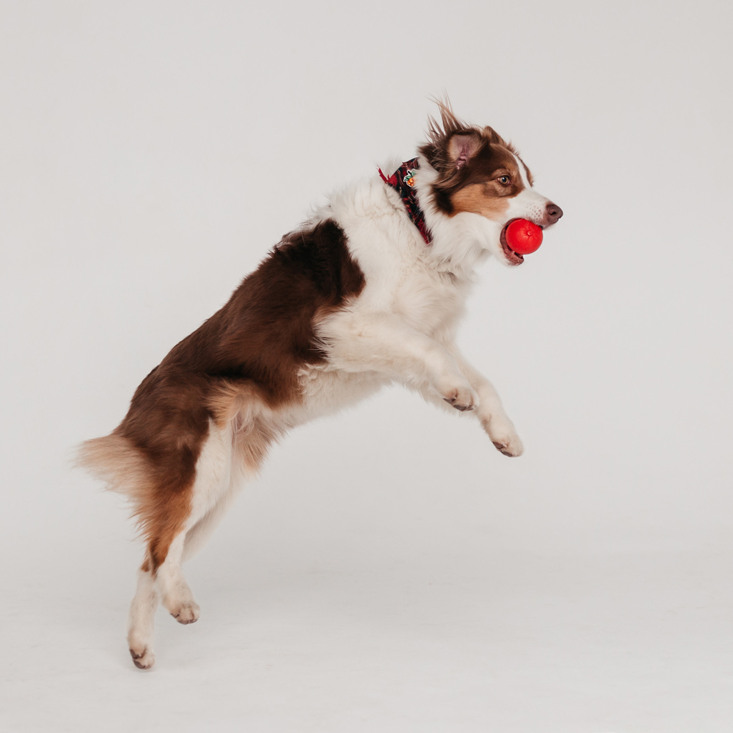 Фотодень 4 апреля