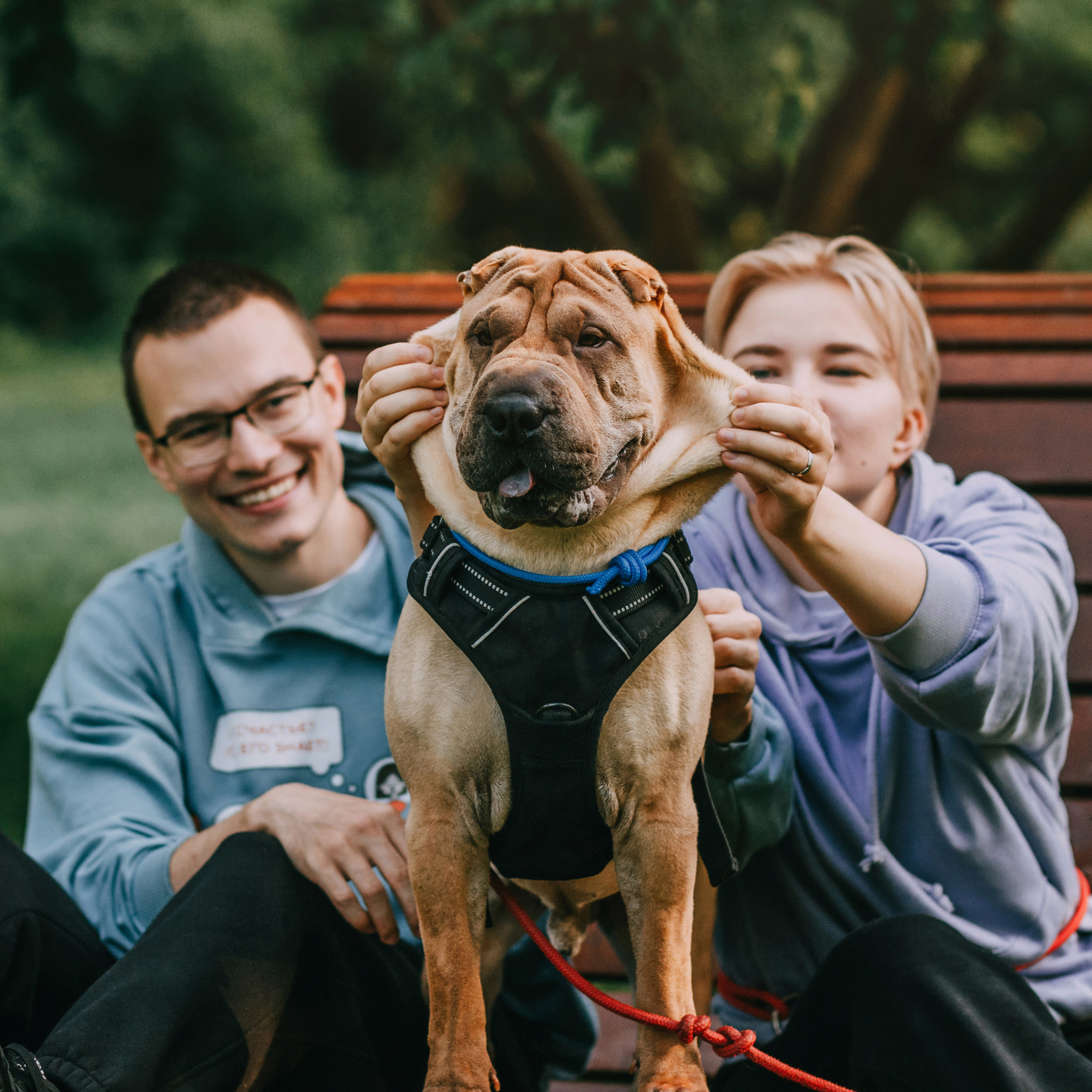 Отзывы. Фотограф-анималист Елена Радченко, Москва