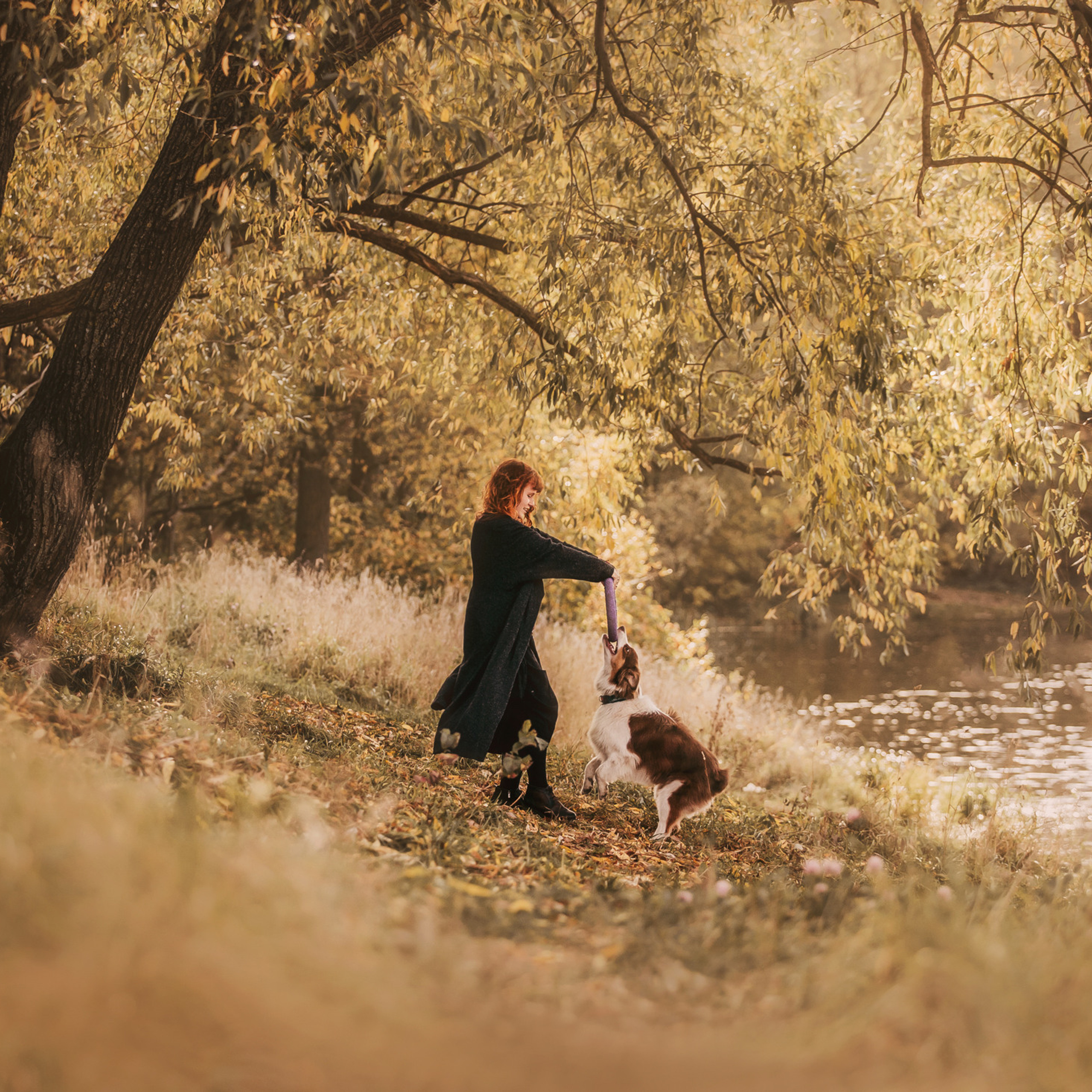 Отзывы. Фотограф-анималист Елена Радченко, Москва