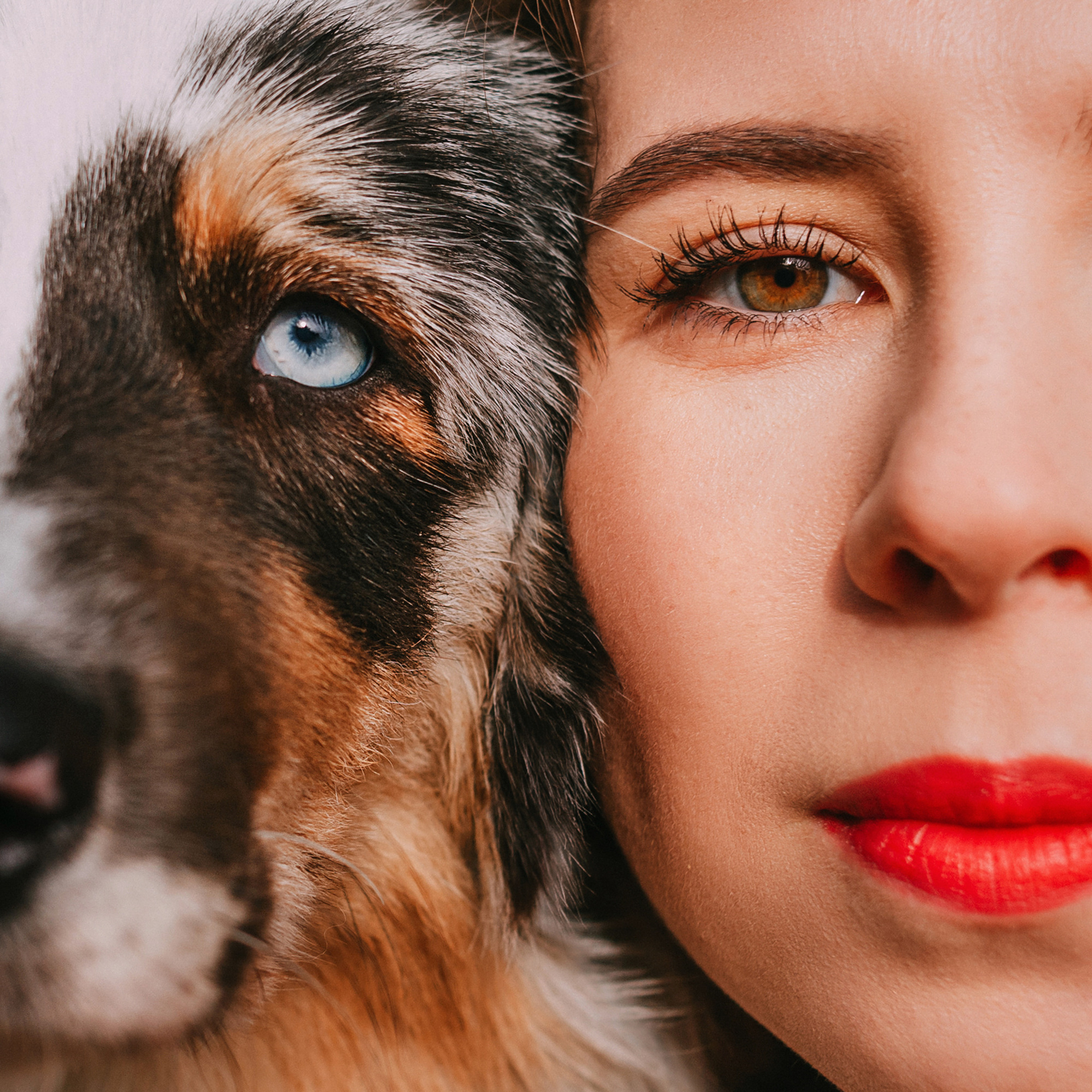 Отзывы. Фотограф-анималист Елена Радченко, Москва