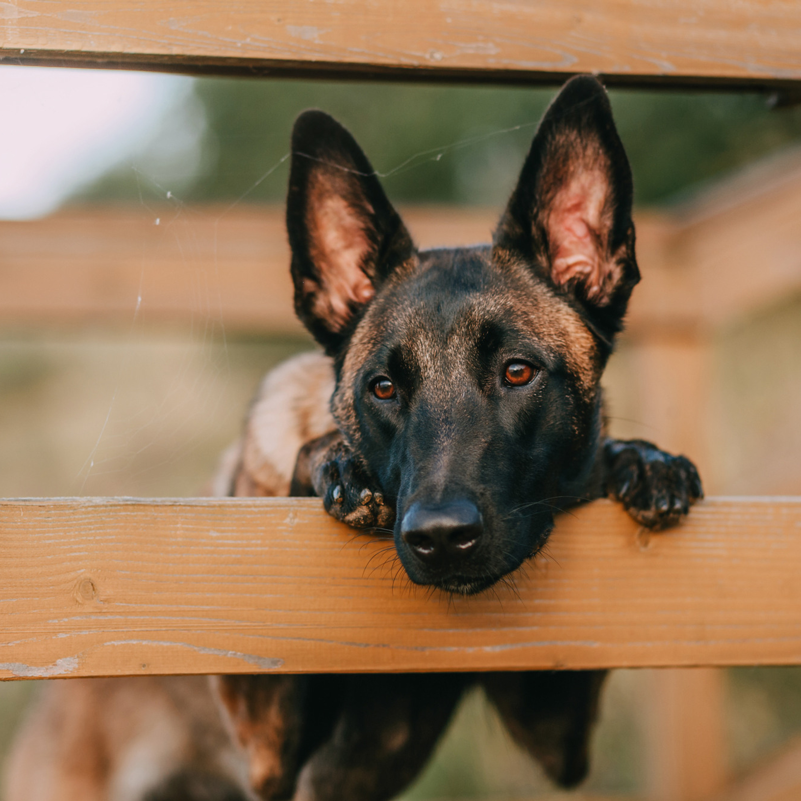 Полина и Ишка