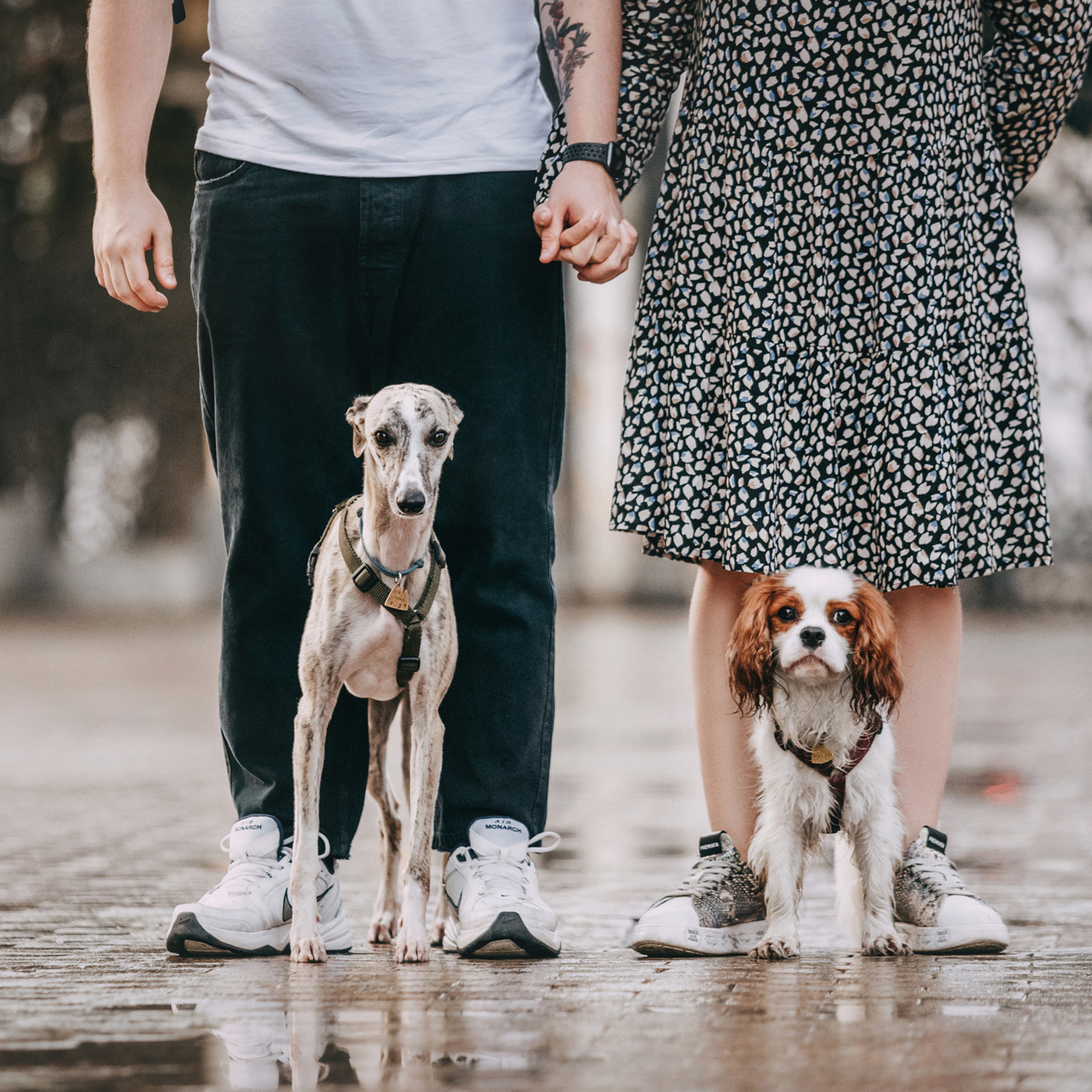 Никита, Катя, Стэн и Марвел