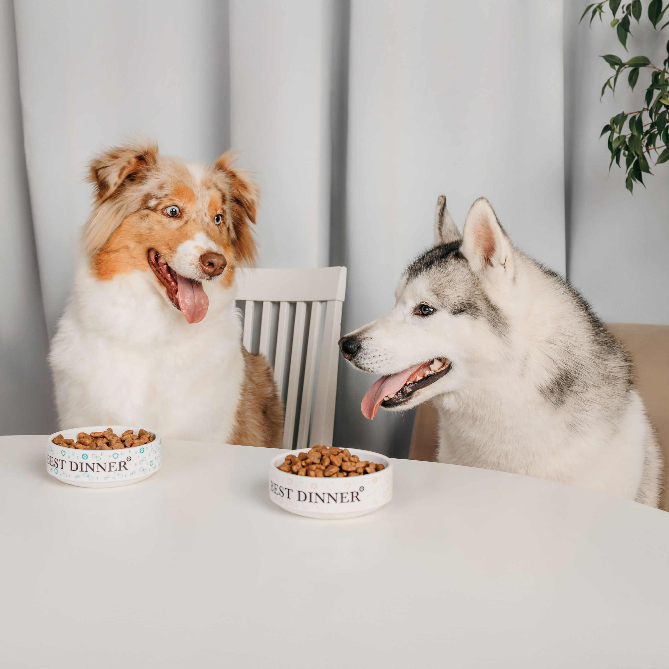 Корма Best Dinner