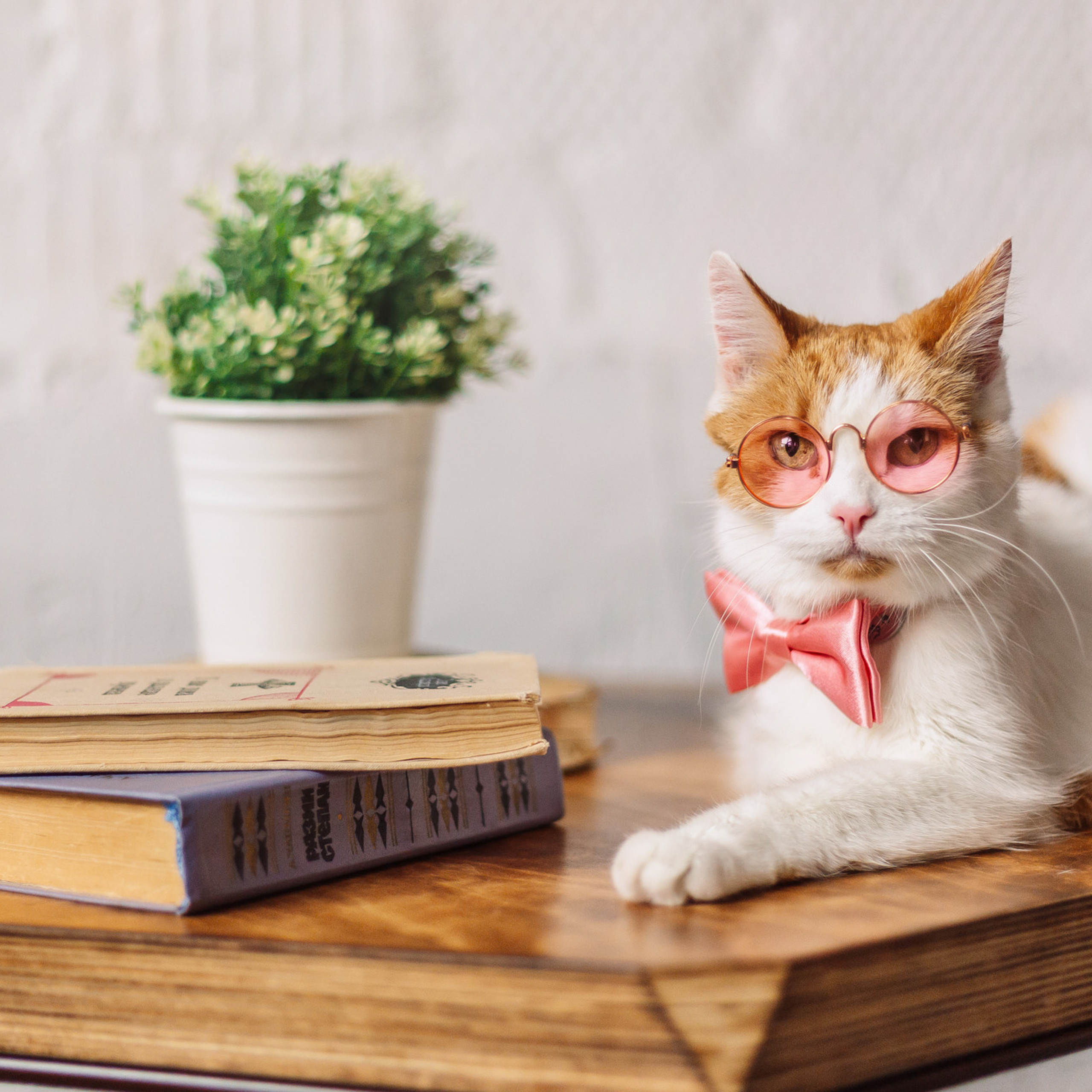 Магазин Friend of mine