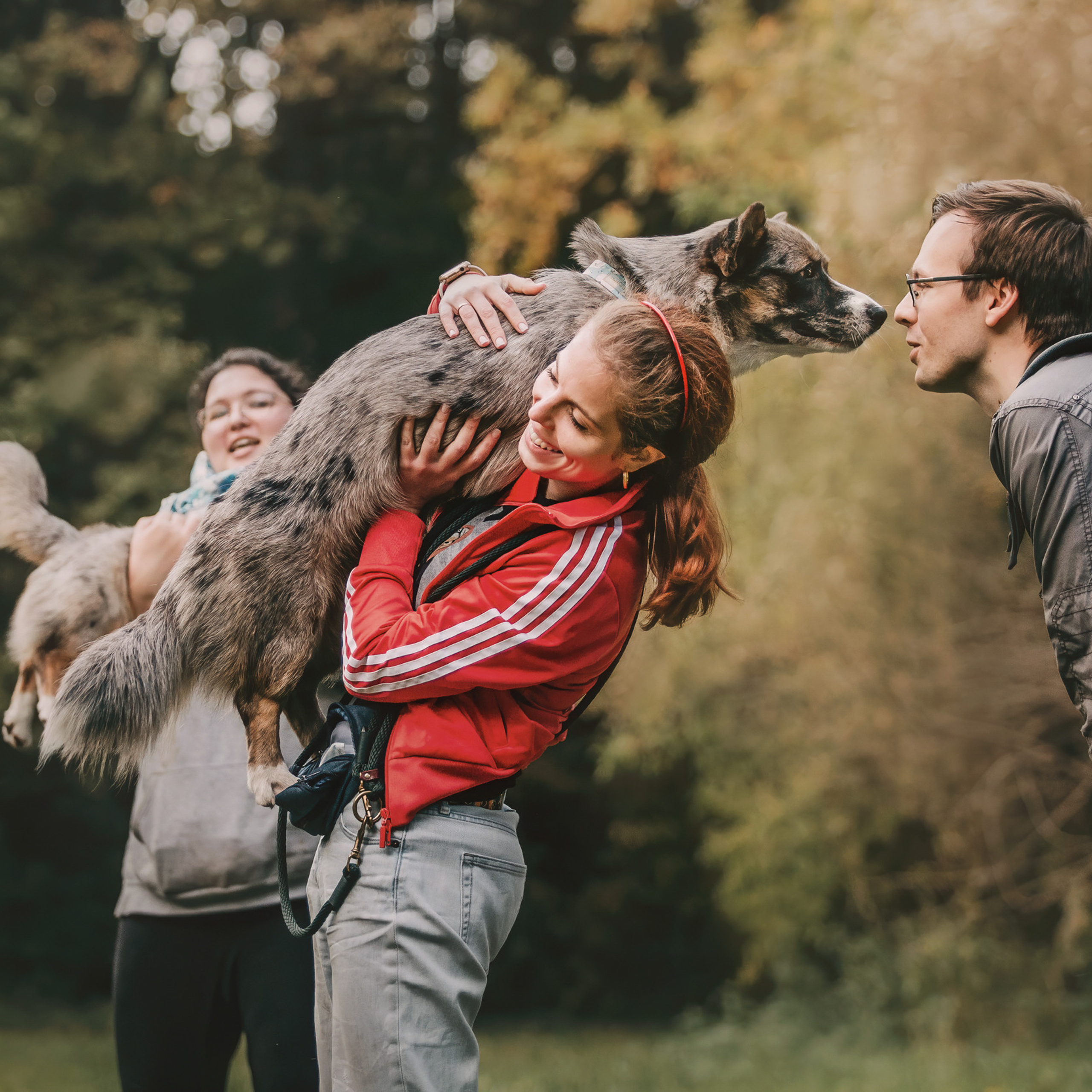 Корги встреча