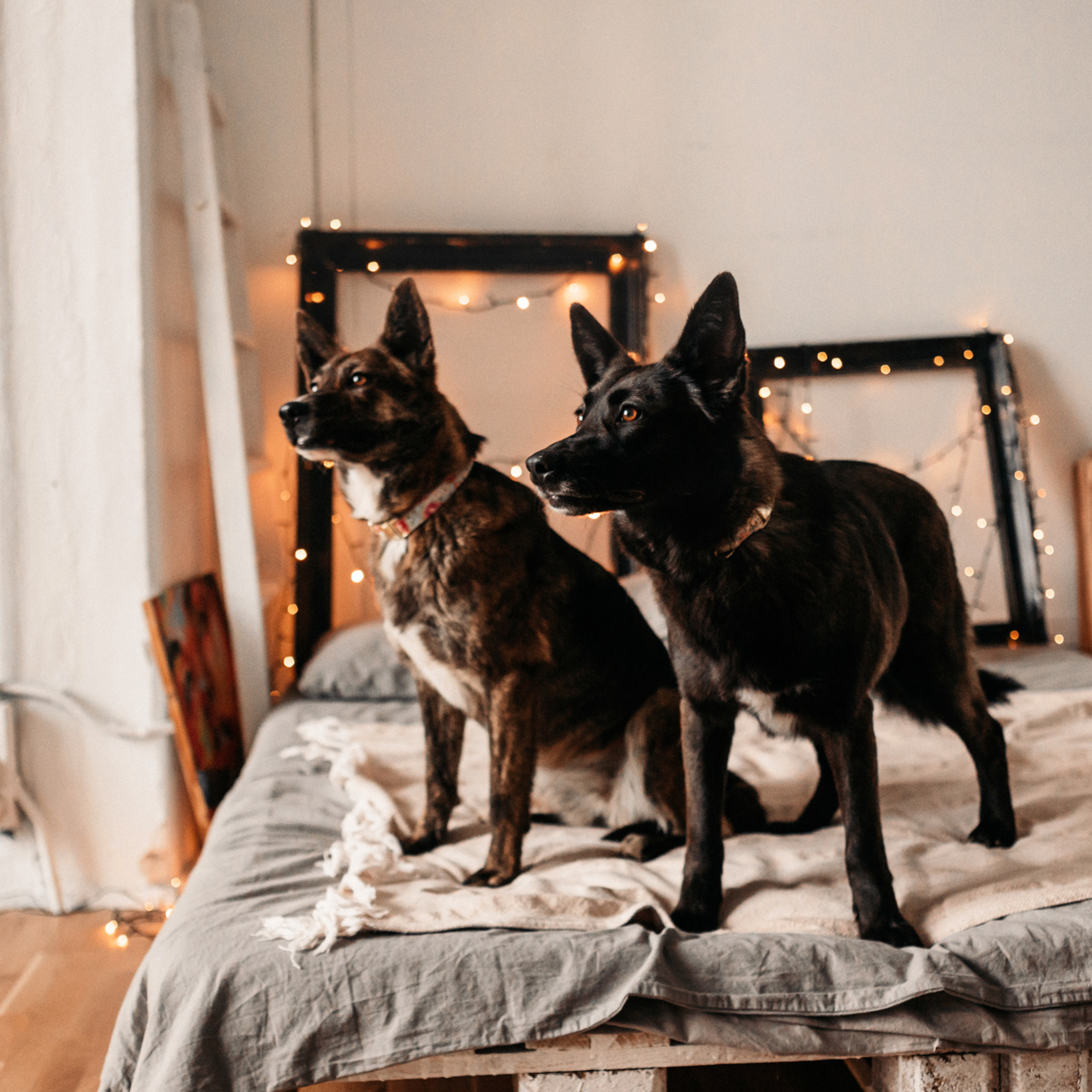 Эдит и Диди