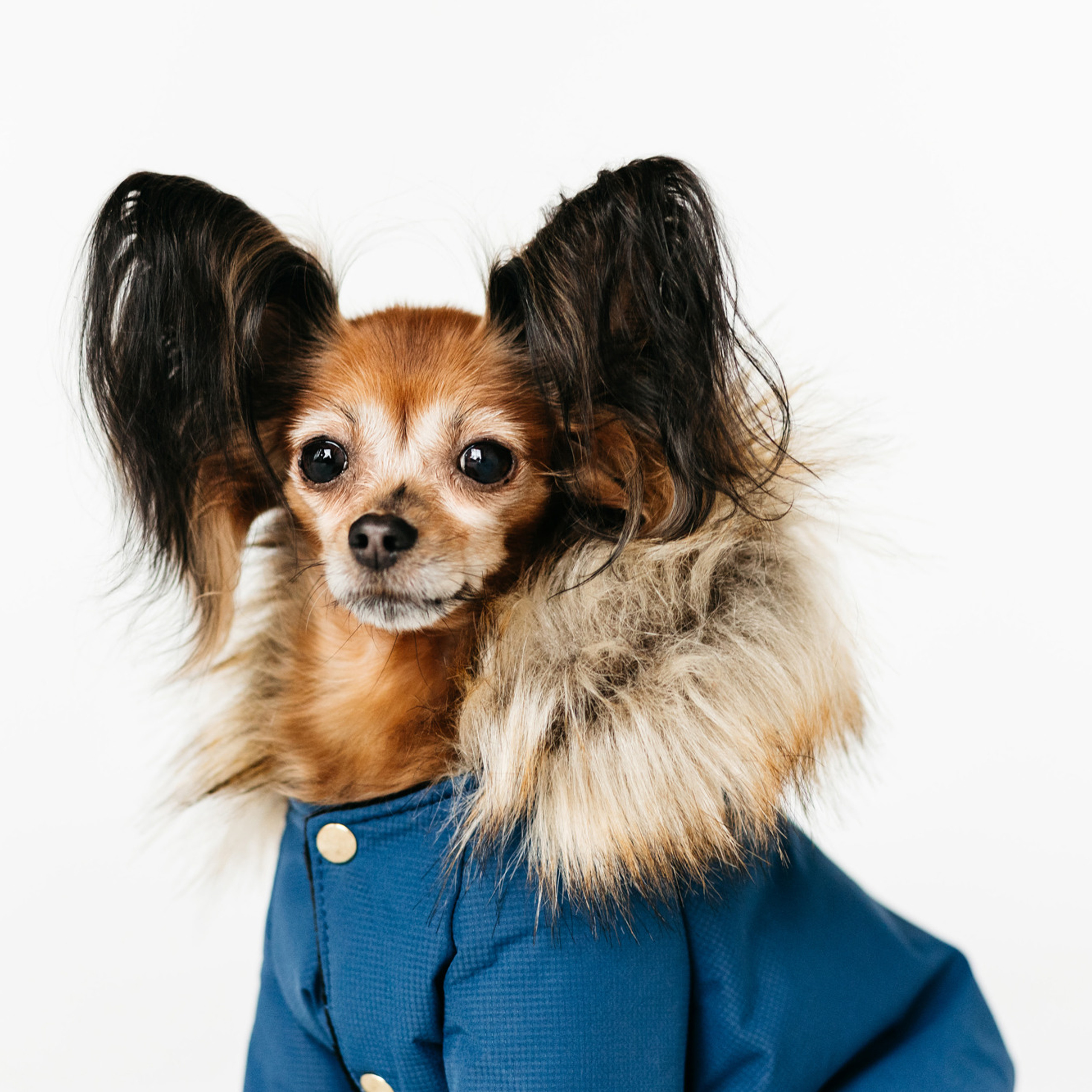 Комбинезоны Fluffy pet