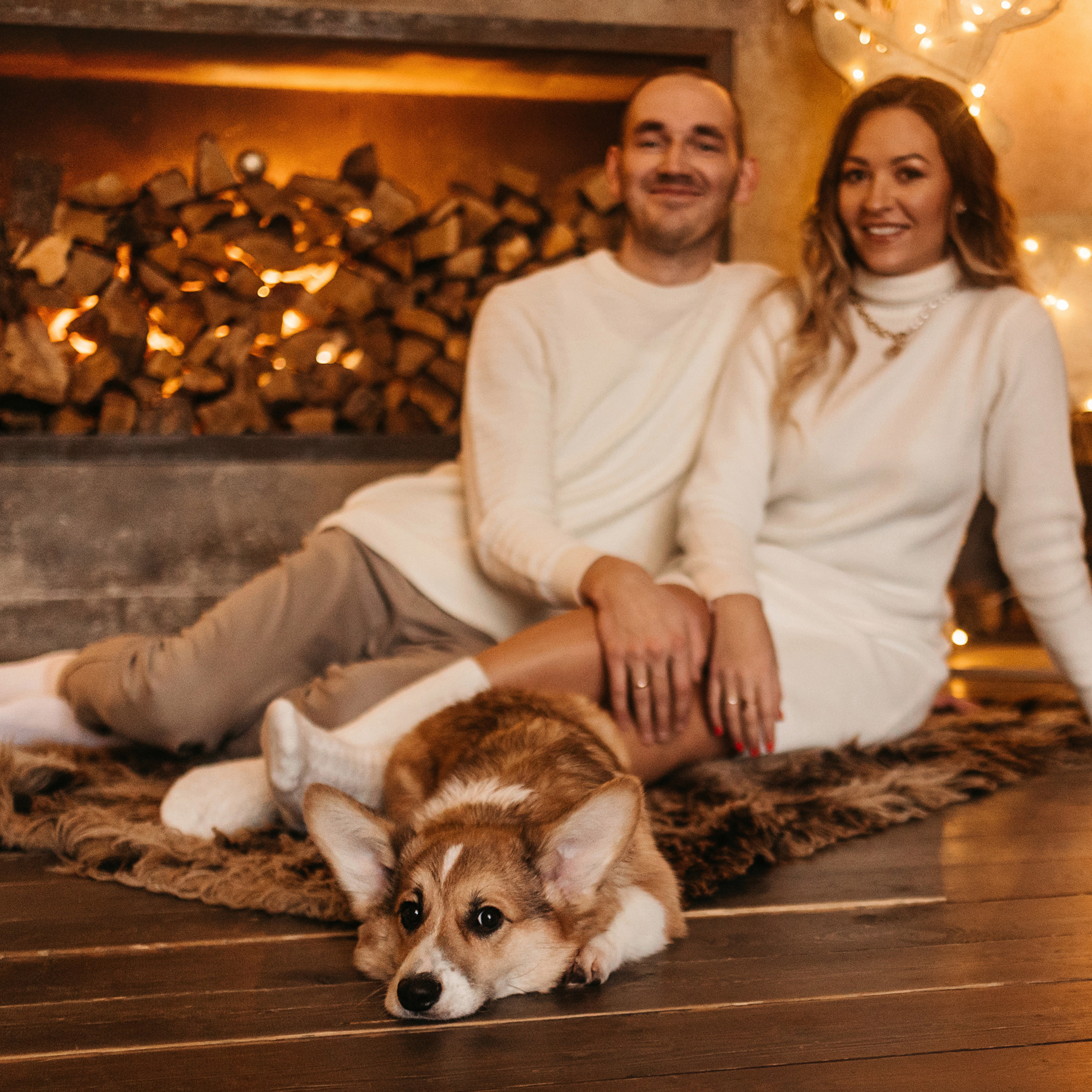 Отзывы. Фотограф-анималист Елена Радченко, Москва