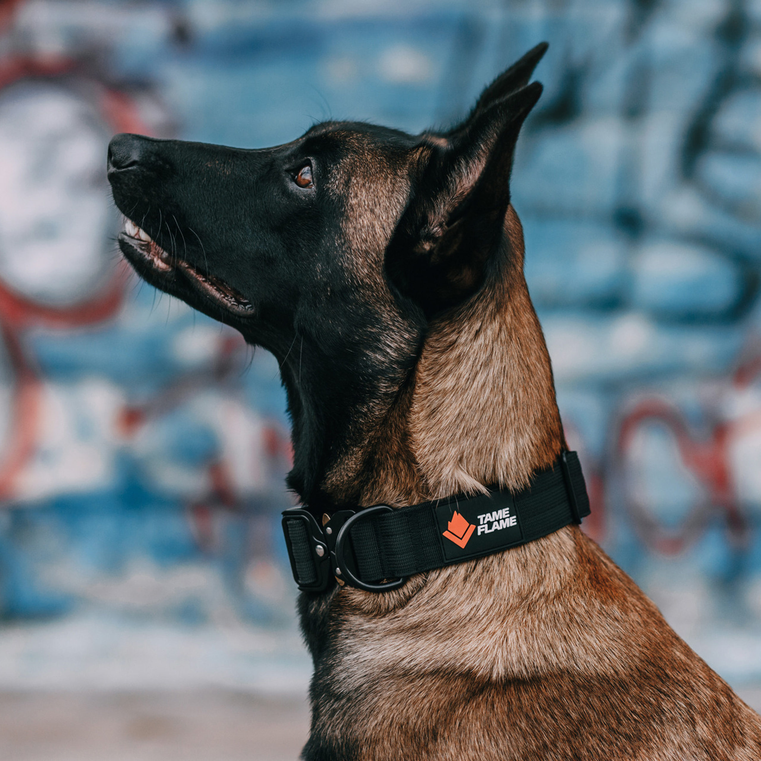 Ошейники Tame flame